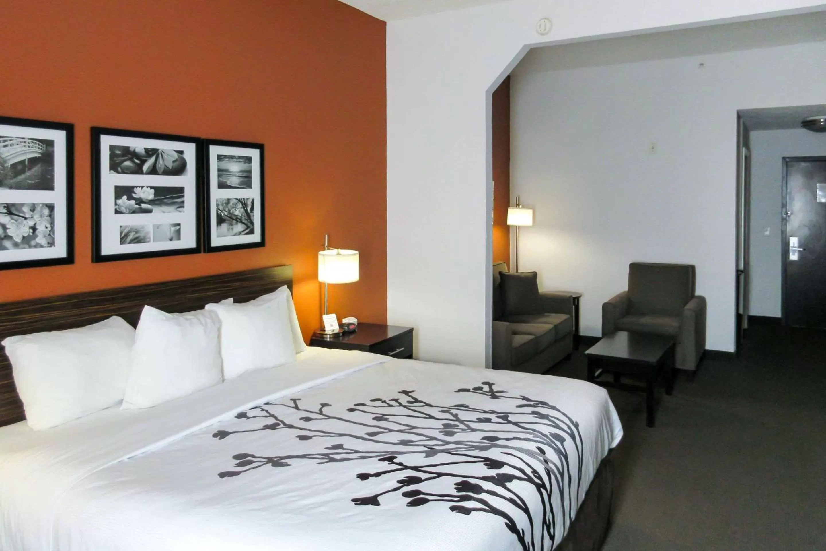King Room - Accessible/Non-Smoking in Sleep Inn & Suites Ft Lauderdale International Airport