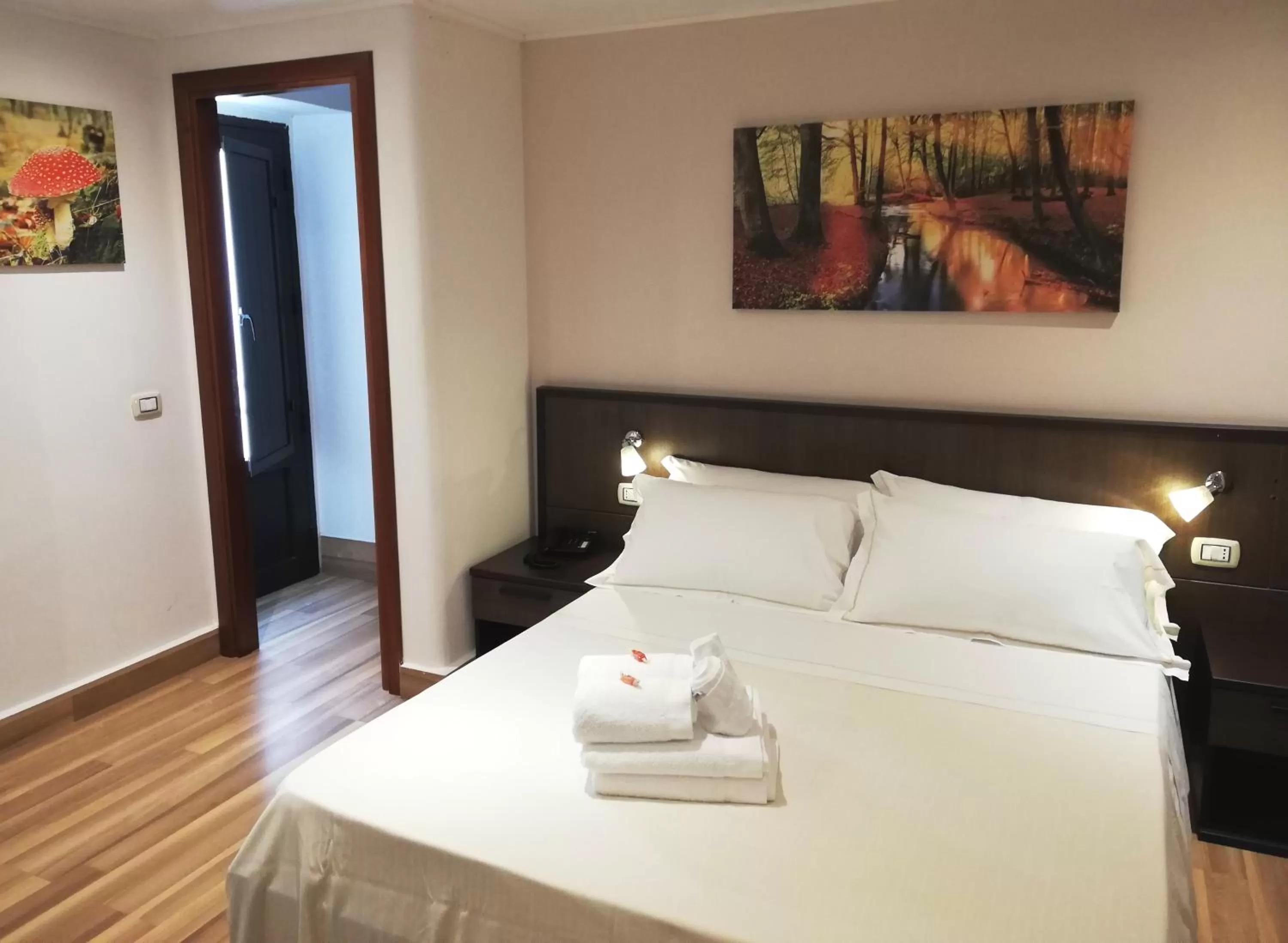 Double or Twin Room in Hotel Tonic