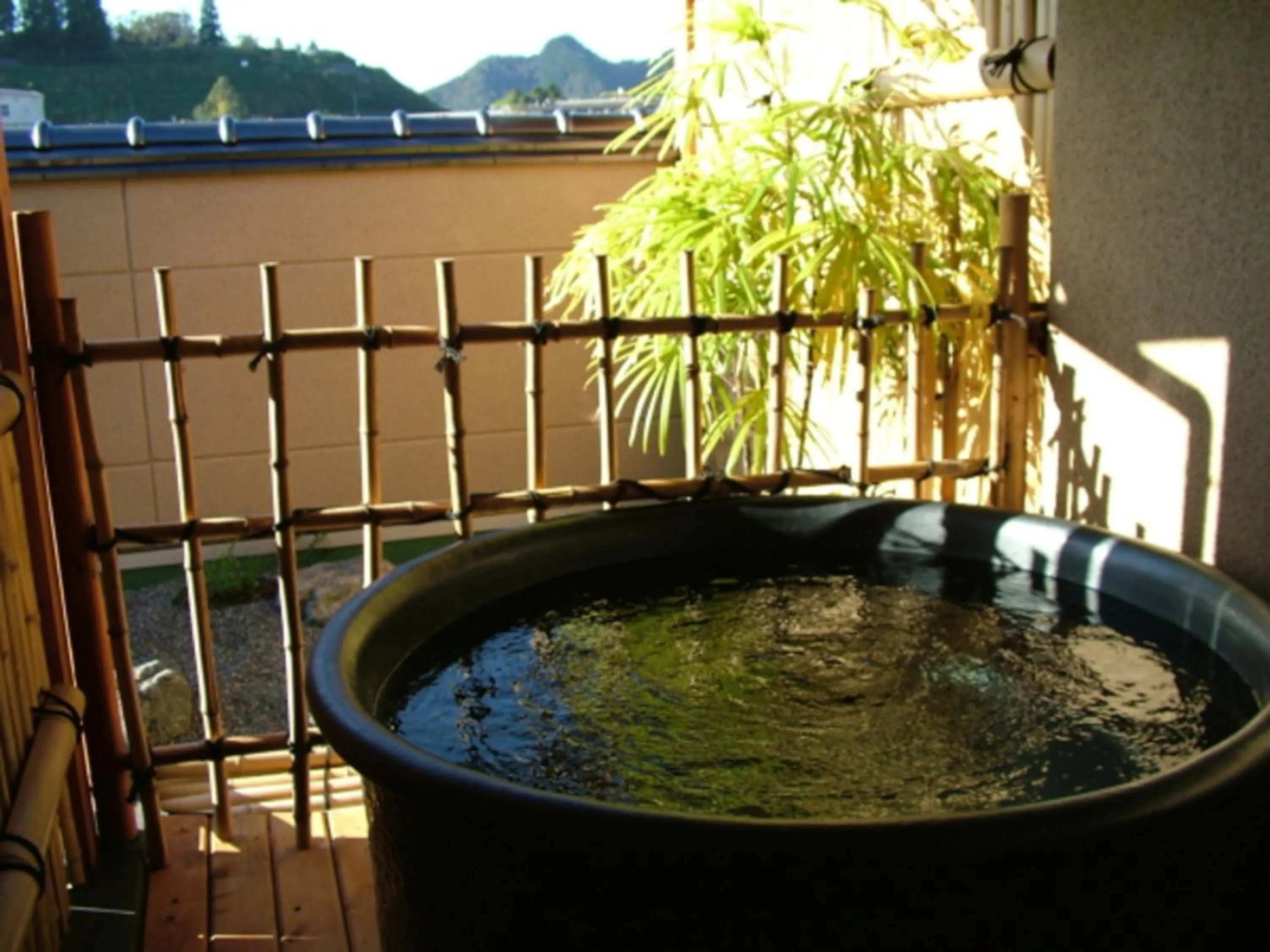 Japanese-Style Room with Open-Air Bath in Ryokan Shinsen