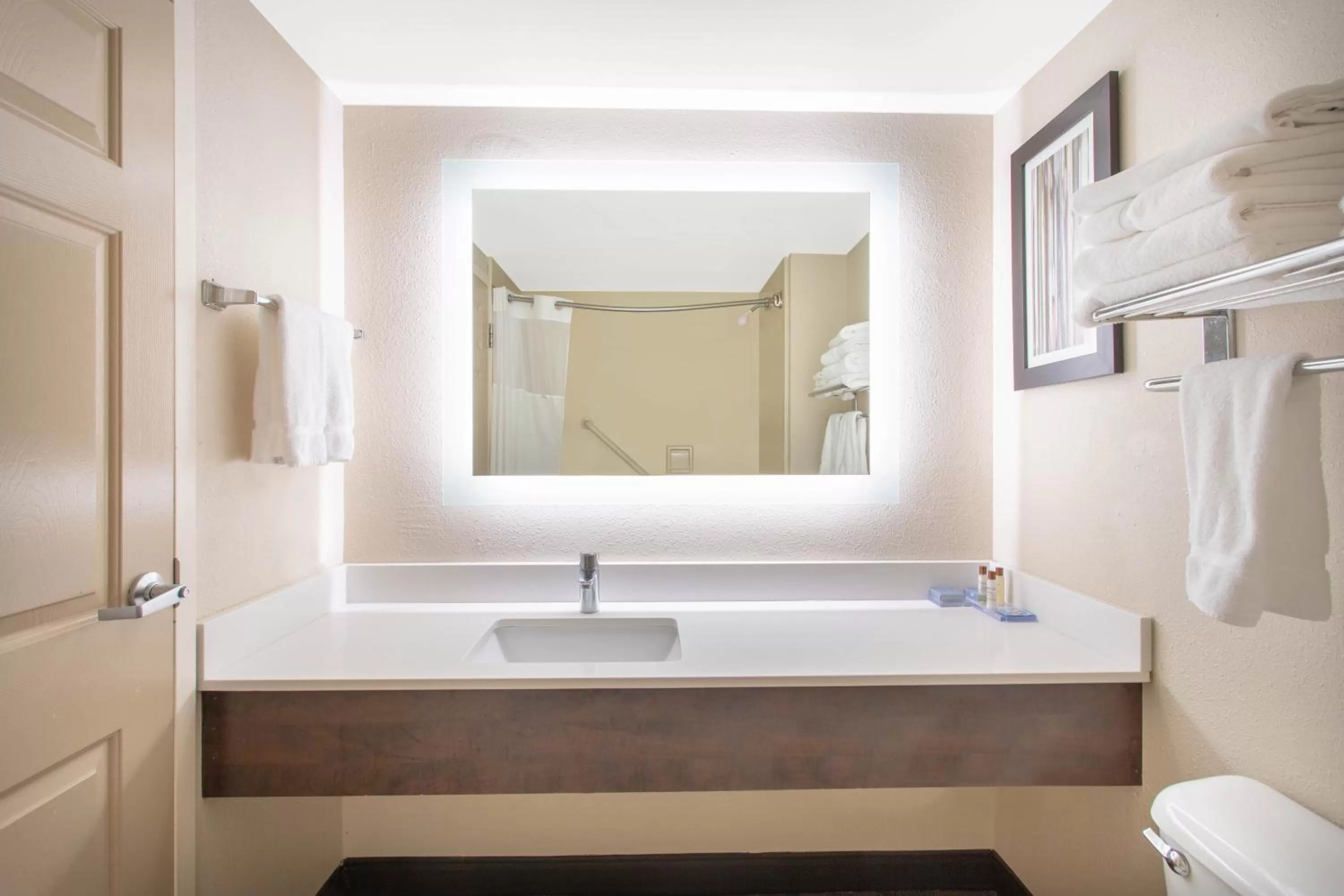 King Room- Non-Smoking in Wingate by Wyndham Mechanicsburg