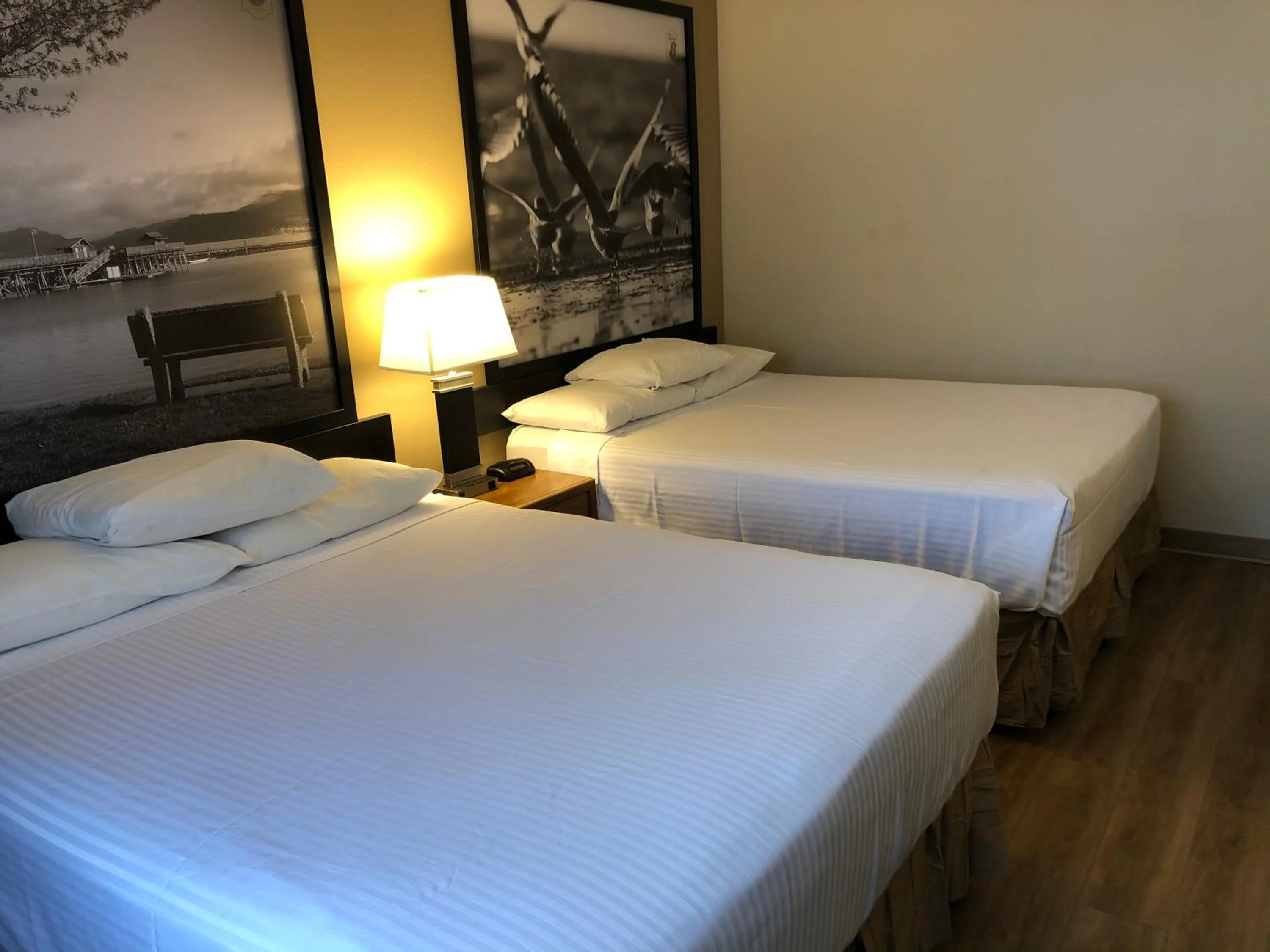 Queen Room with Two Queen Beds - Pet Friendly/Non-Smoking in Super 8 by Wyndham Salmon Arm