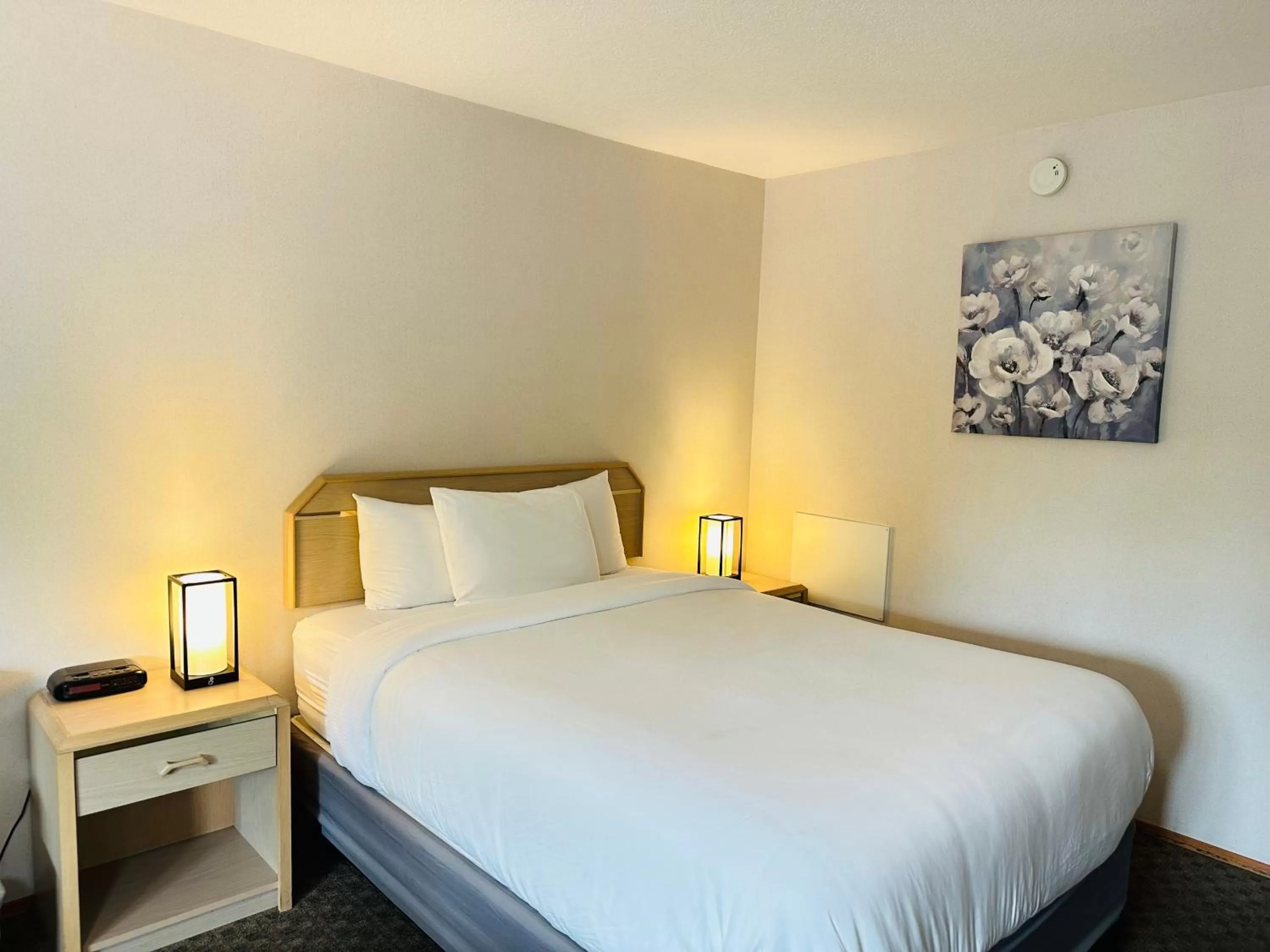 Queen Room in Timberland Inn & Suites