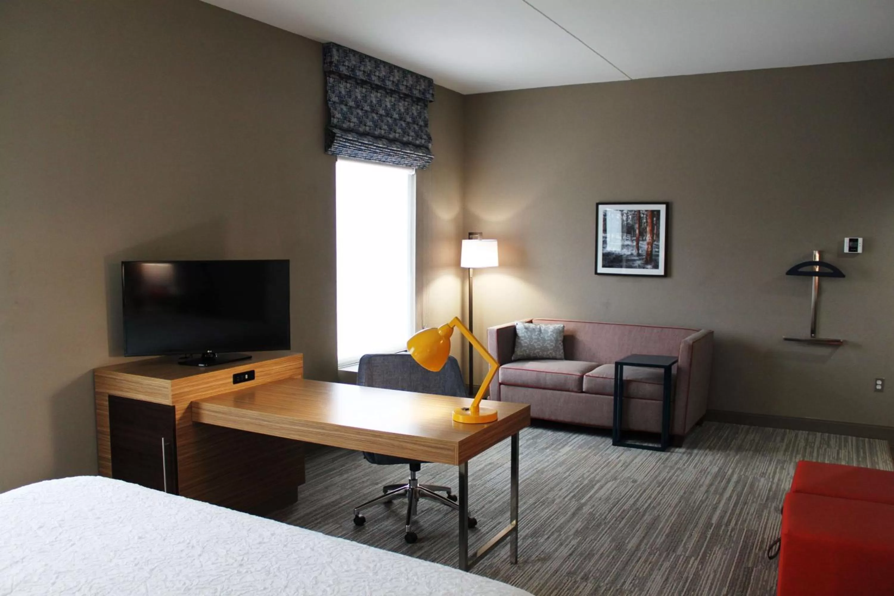 King Studio Suite - Non Smoking in Hampton Inn Forsyth