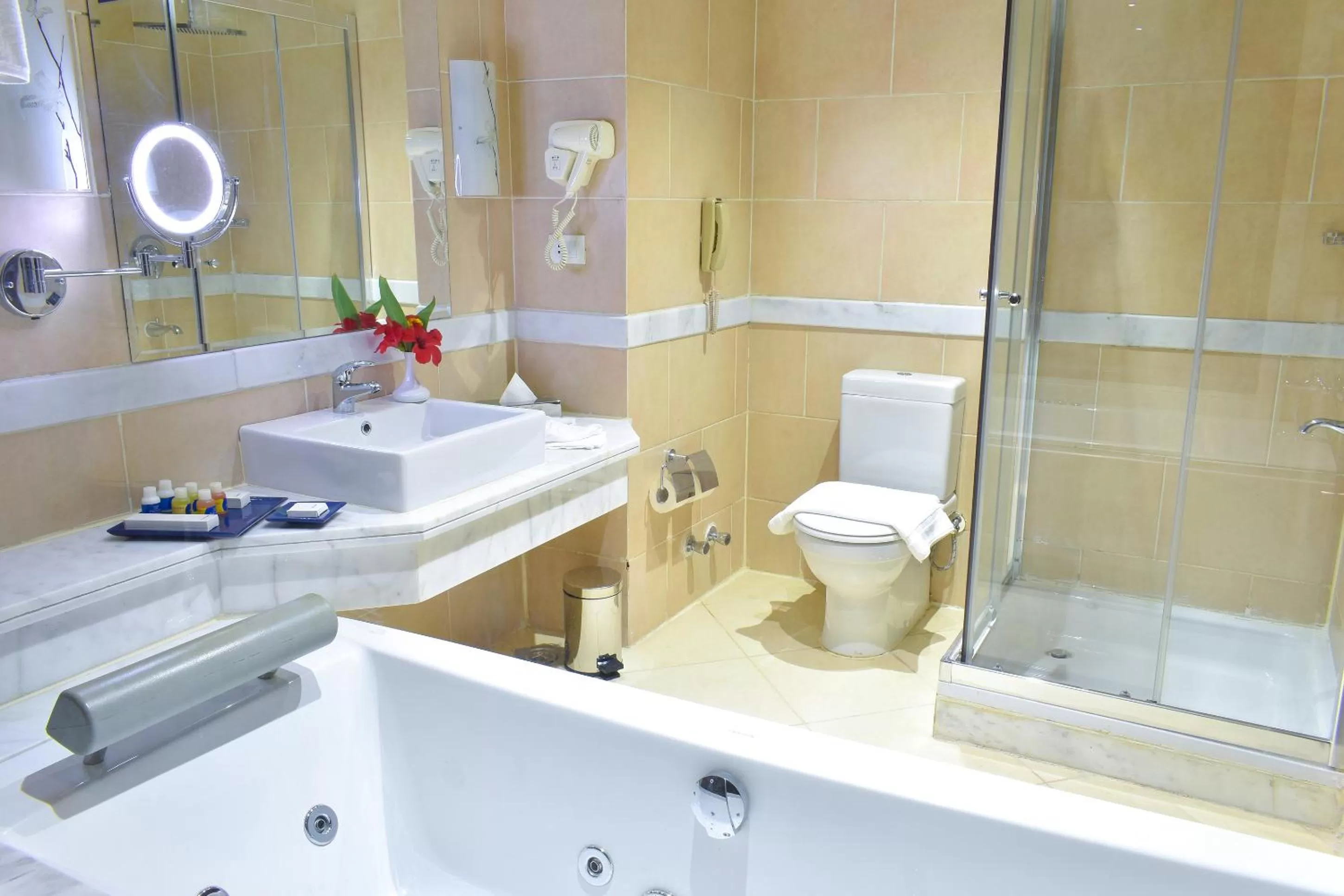 Deluxe Room with Jacuzzi - single occupancy - Free access to Aqua Park in Parrotel Lagoon Waterpark Resort