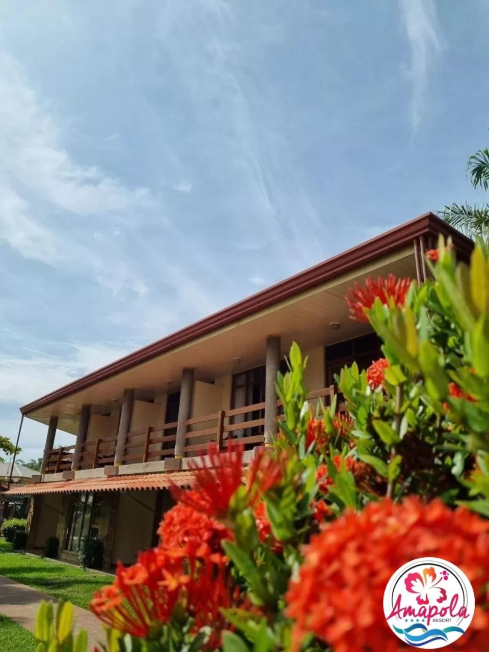 Junior Suite in Amapola Resort