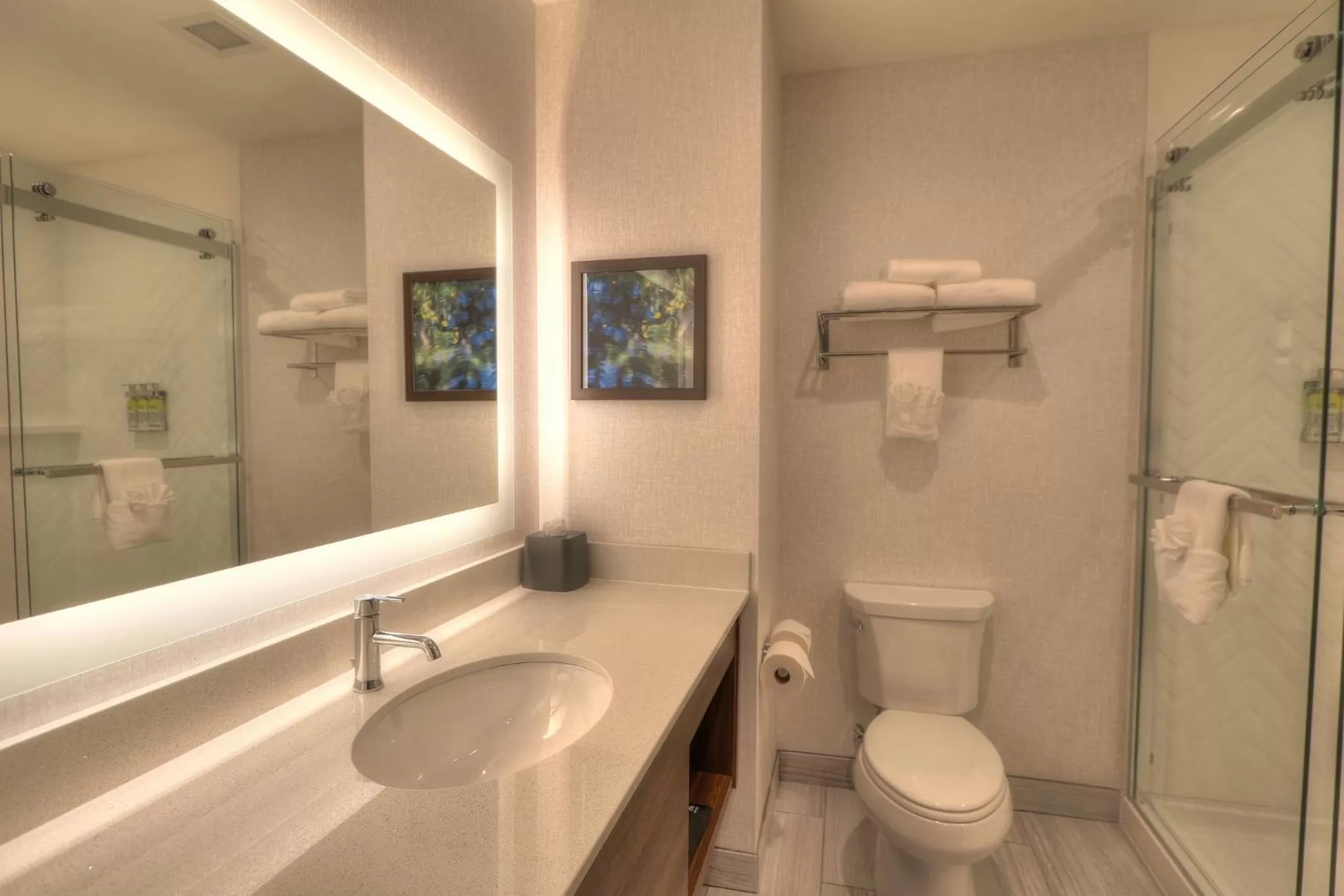 King Room Mobility Accessible with Roll-In Shower - Non-Smoking in Holiday Inn & Suites Pigeon Forge Convention Center by IHG