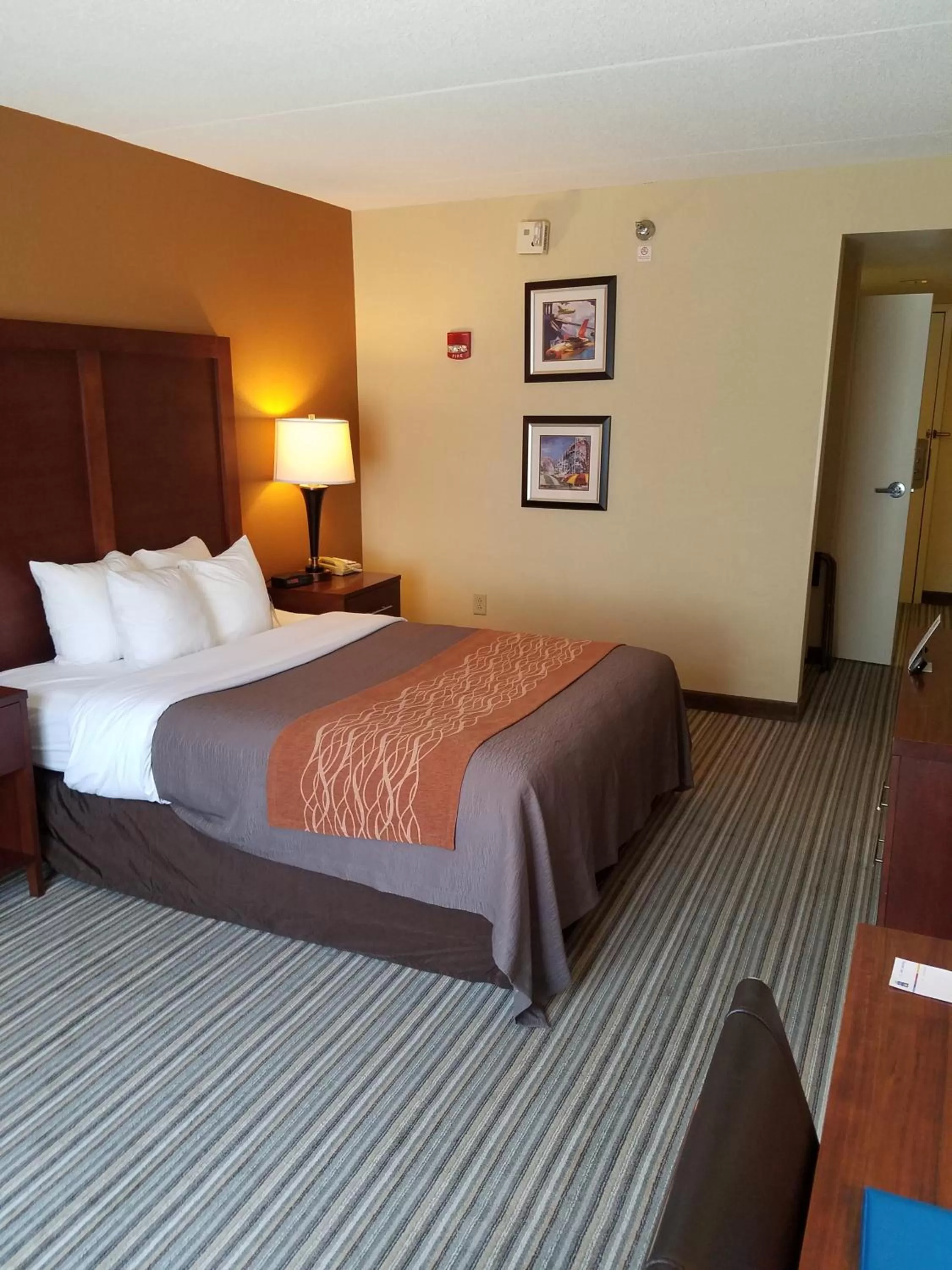 Queen Room - Disability Access in Comfort Inn Hummelstown near the Park - Hershey