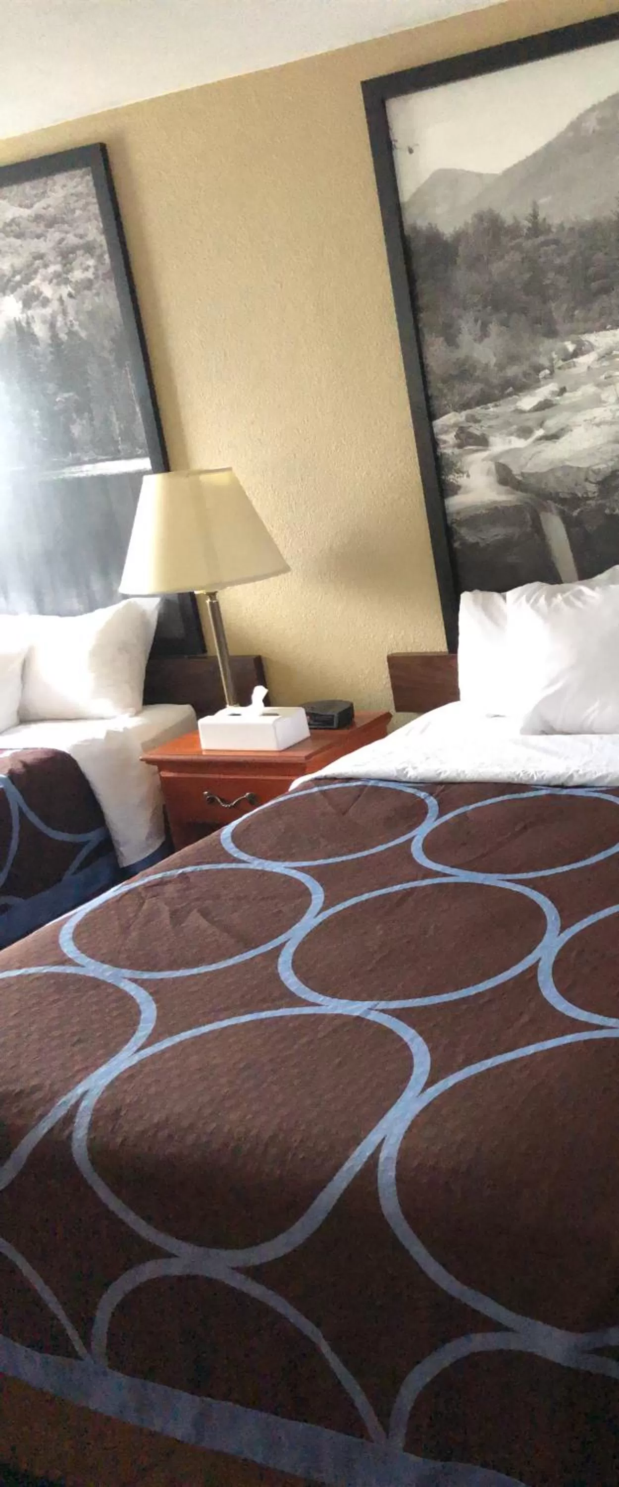 Queen Room with Two Queen Beds - Non-Smoking in Super 8 by Wyndham Montgomery Maybrook
