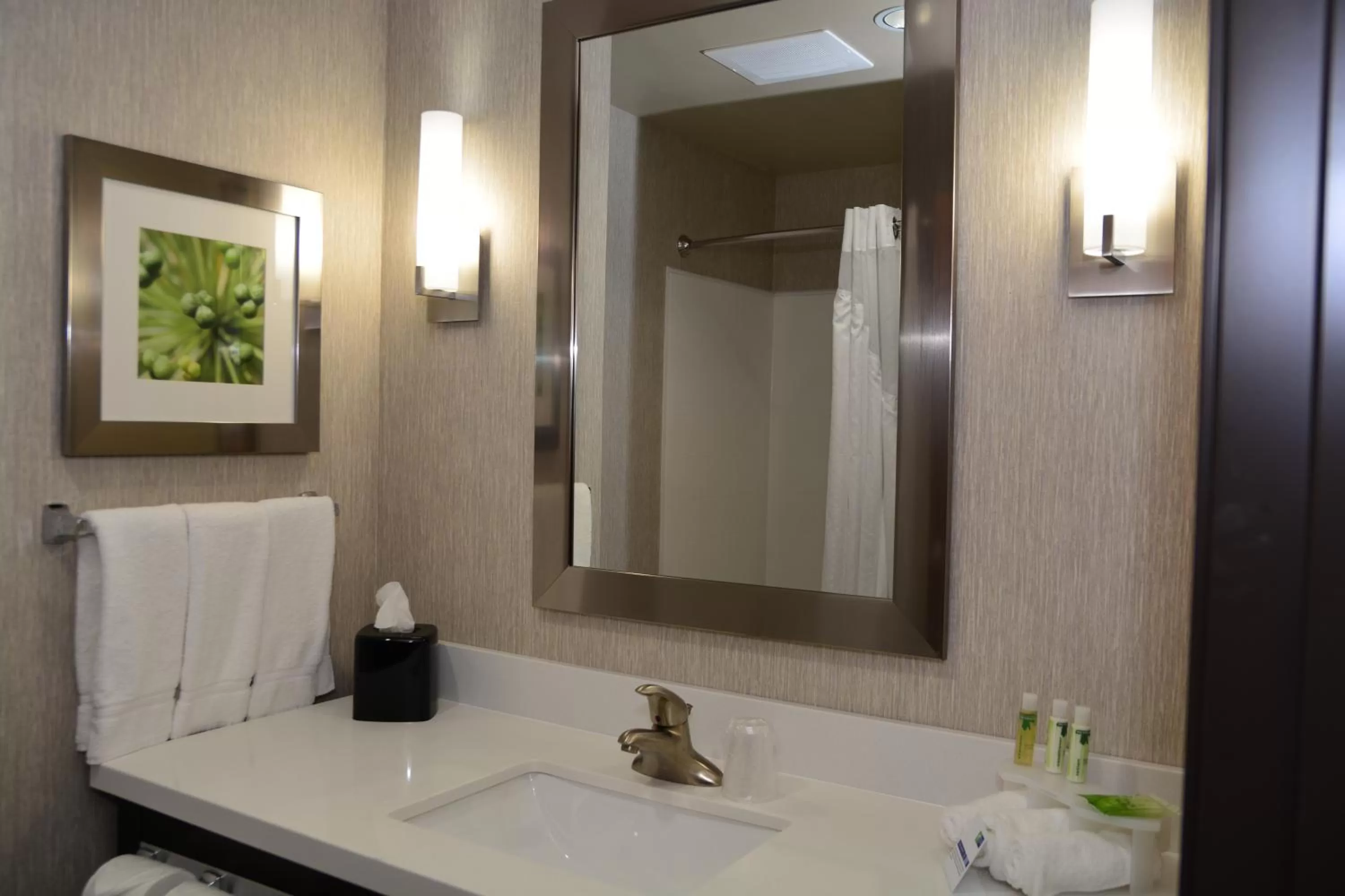 King Suite - Communications and Mobility Accessible Tub in Holiday Inn Express Tomball by IHG