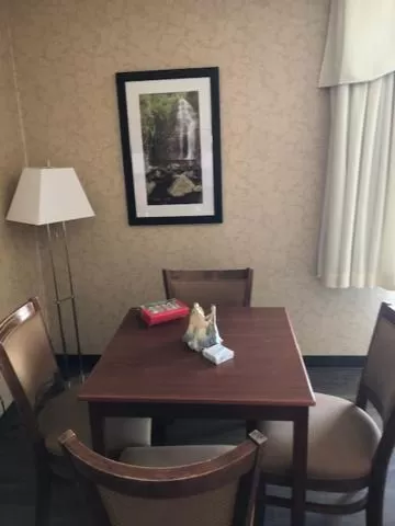 The King Studio with Kitchenette in Days Inn & Suites by Wyndham Brandon