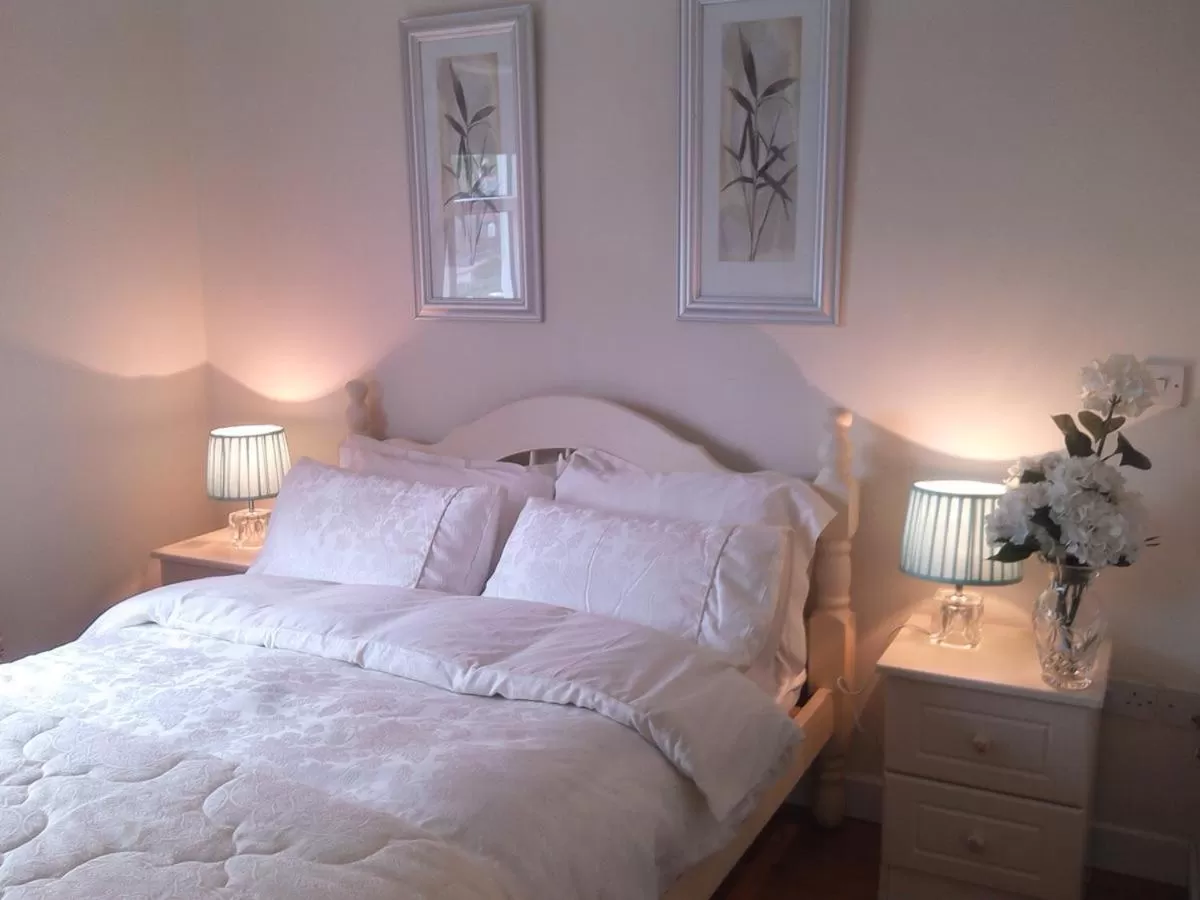 Standard Double Room - single occupancy in The Vee Guest Accommodation