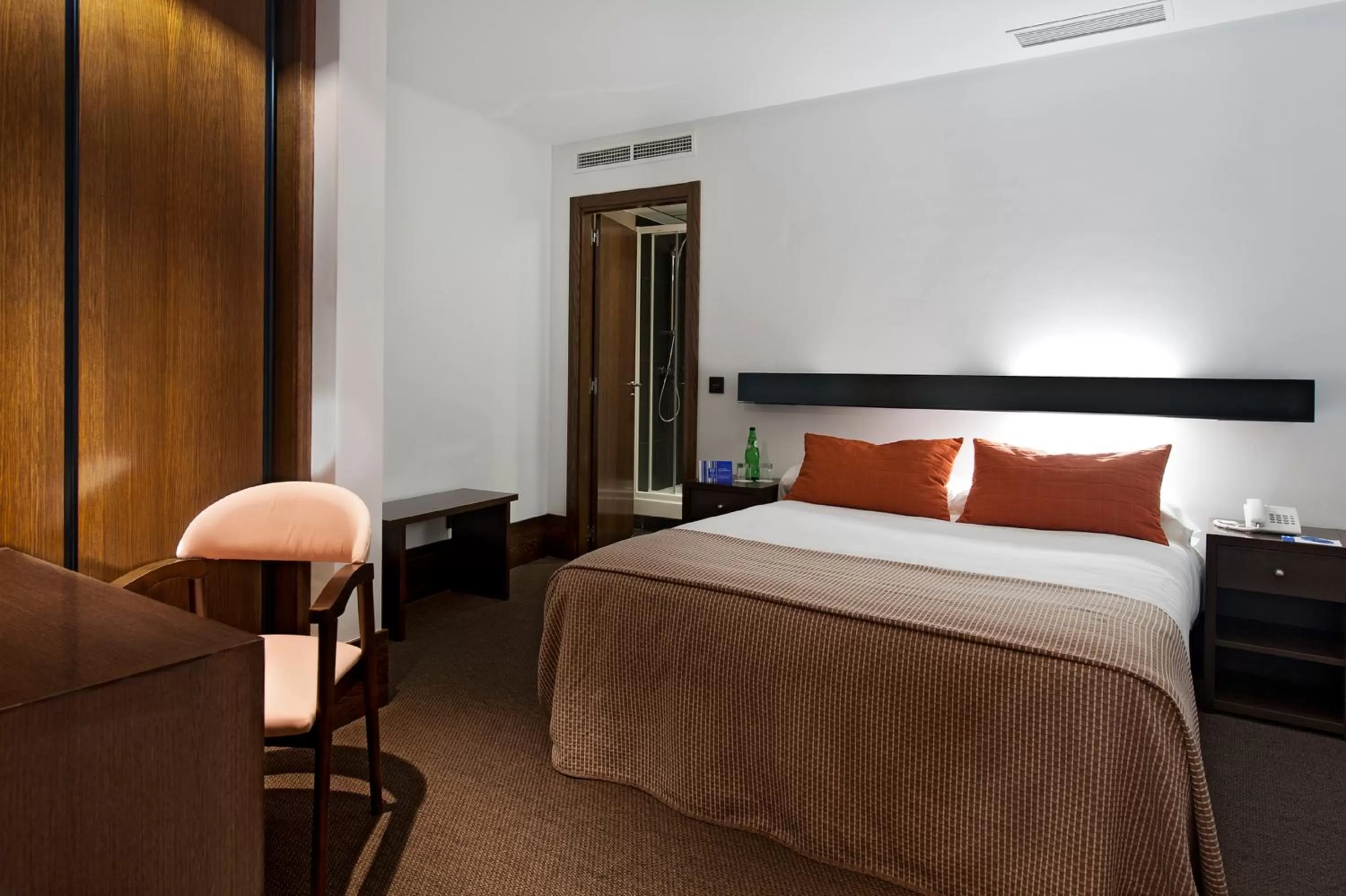 Double Room in Hotel Domus Plaza Zocodover