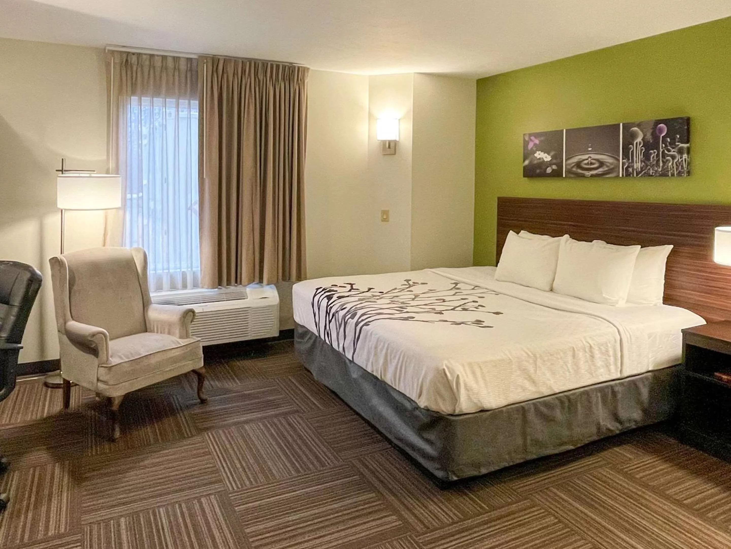 King Room - Non-Smoking in Sleep Inn