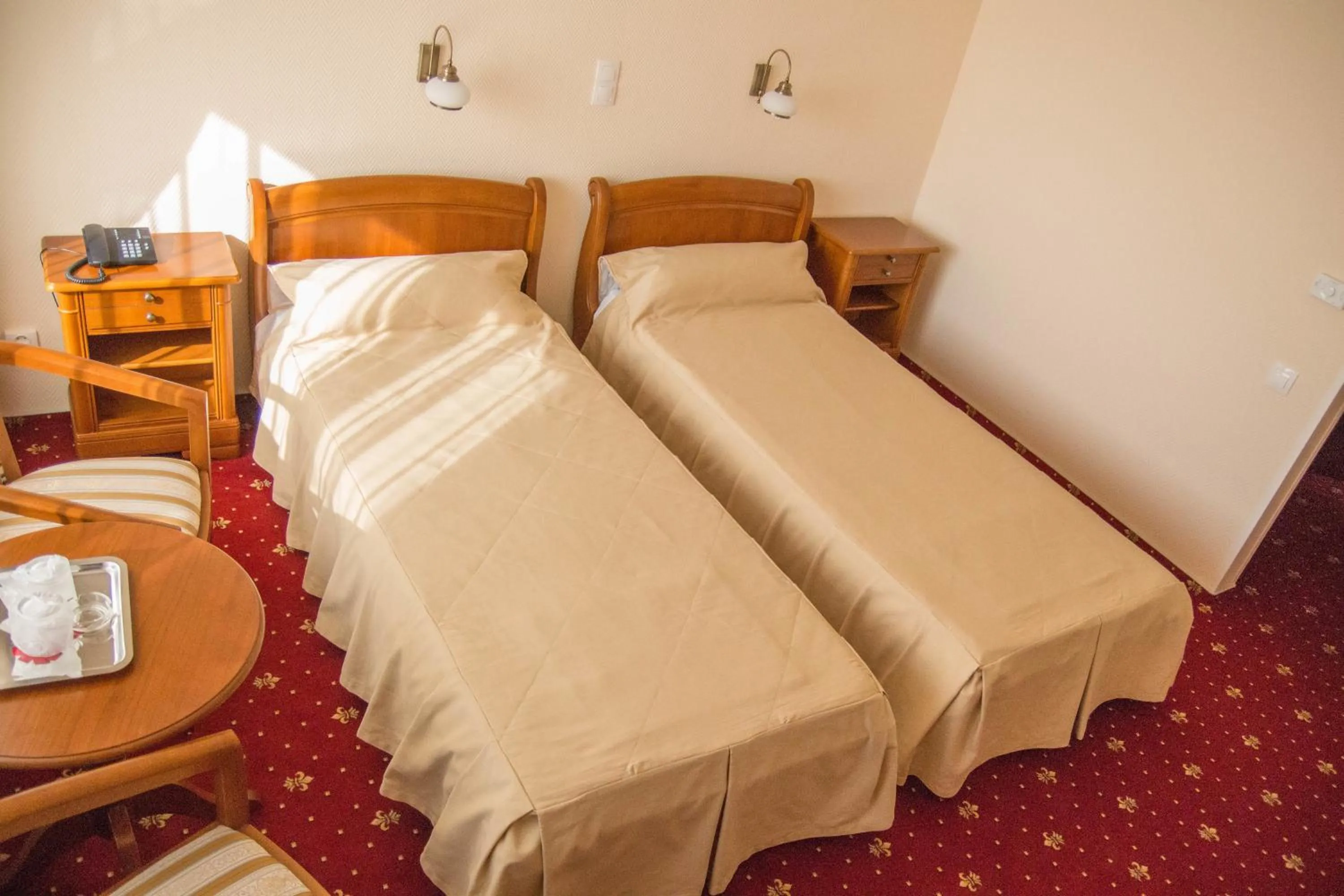 Double or Twin Room - single occupancy in Hotel Traian