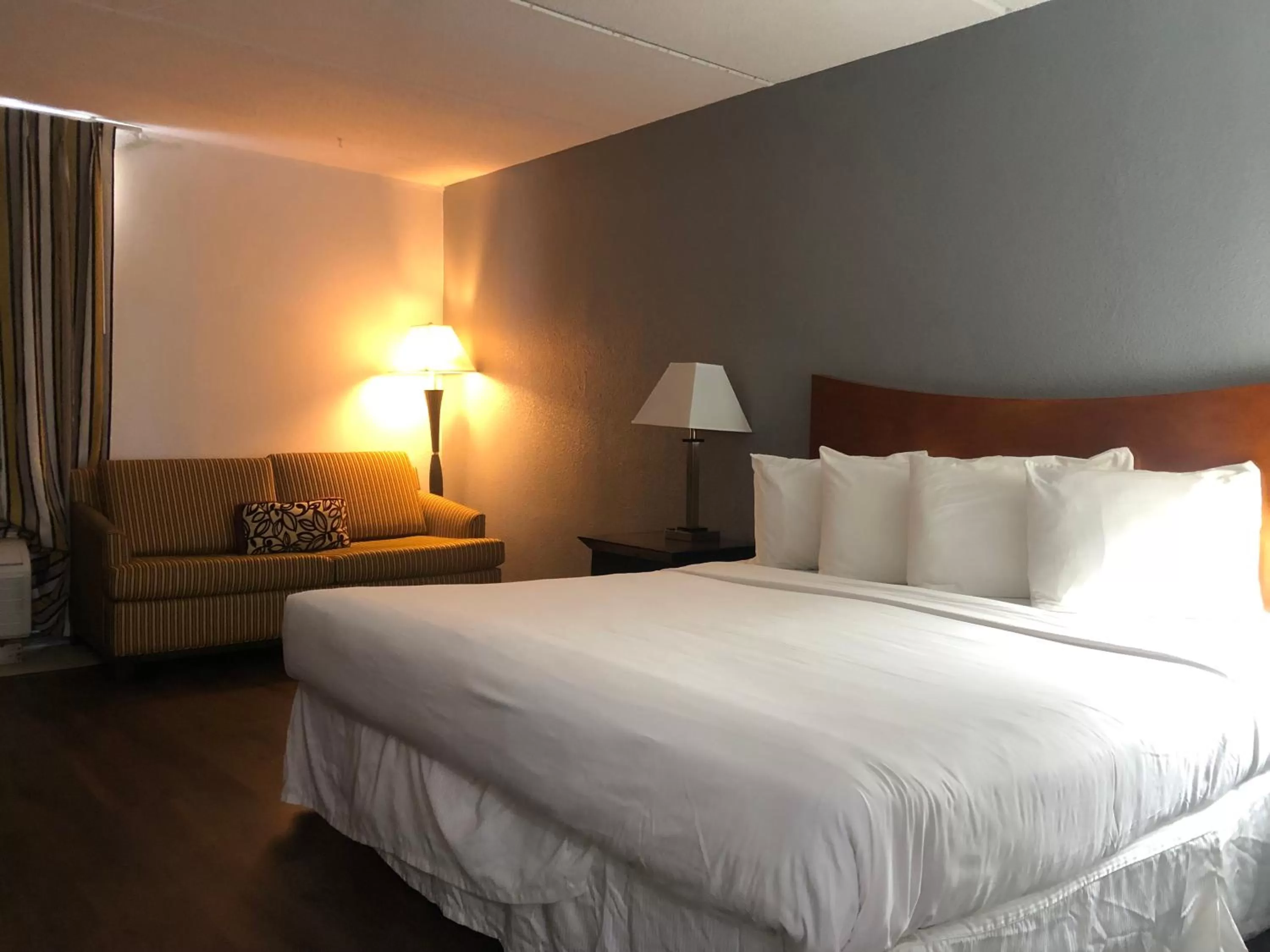 Single Room in The Grand Hotel Spindletop