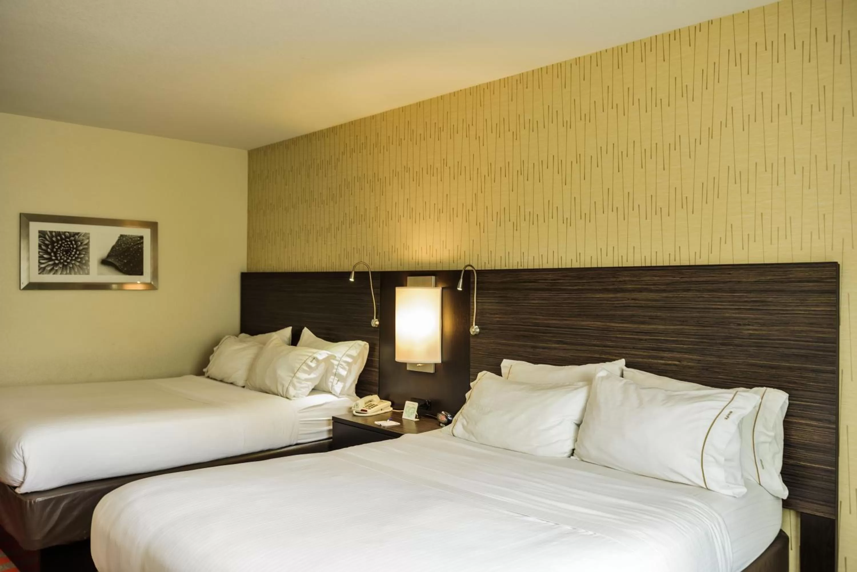 Standard Room with Two Queen Beds in Holiday Inn Express and Suites - Bradford by IHG