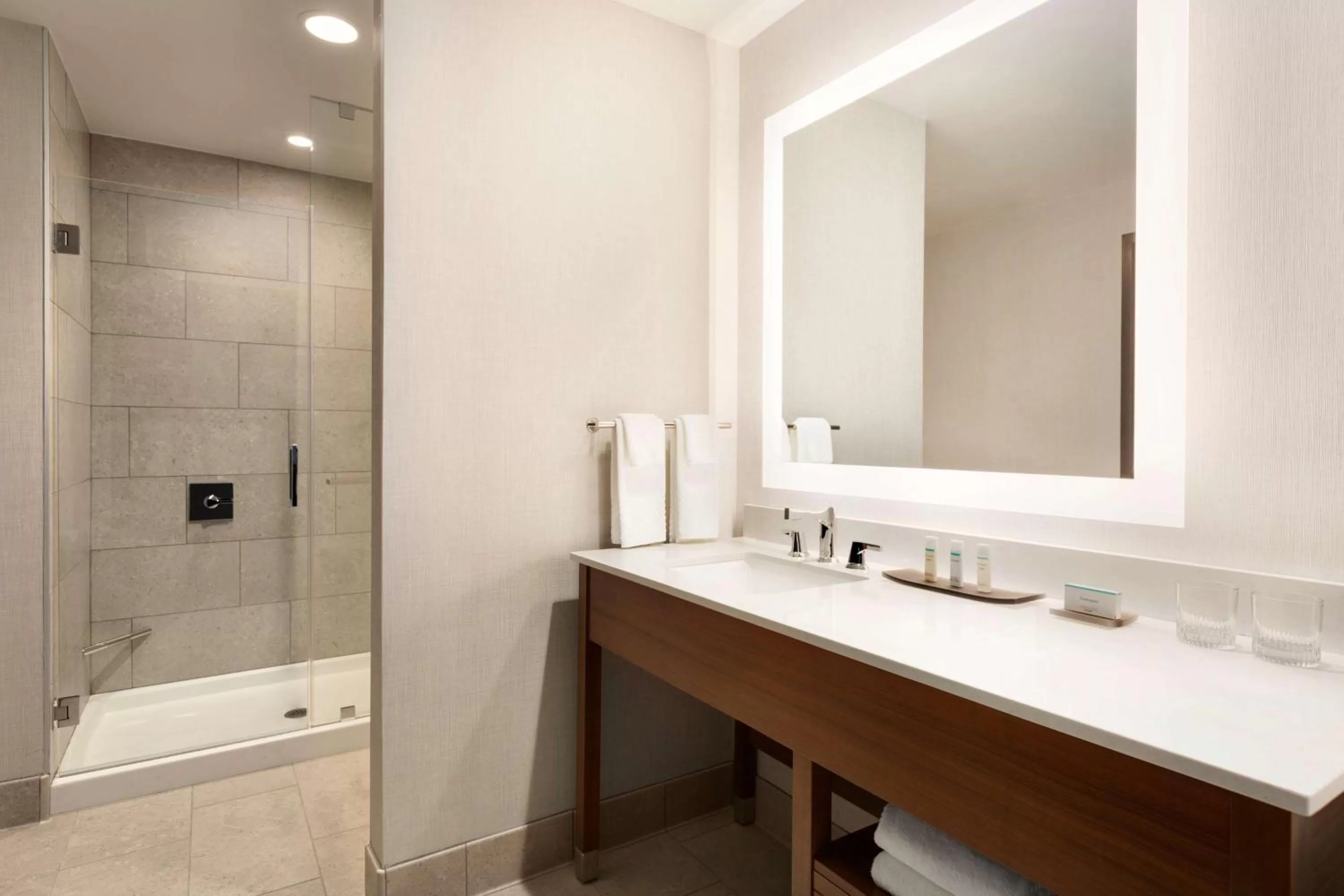 King Studio Suite in Embassy Suites By Hilton Denton Convention Center