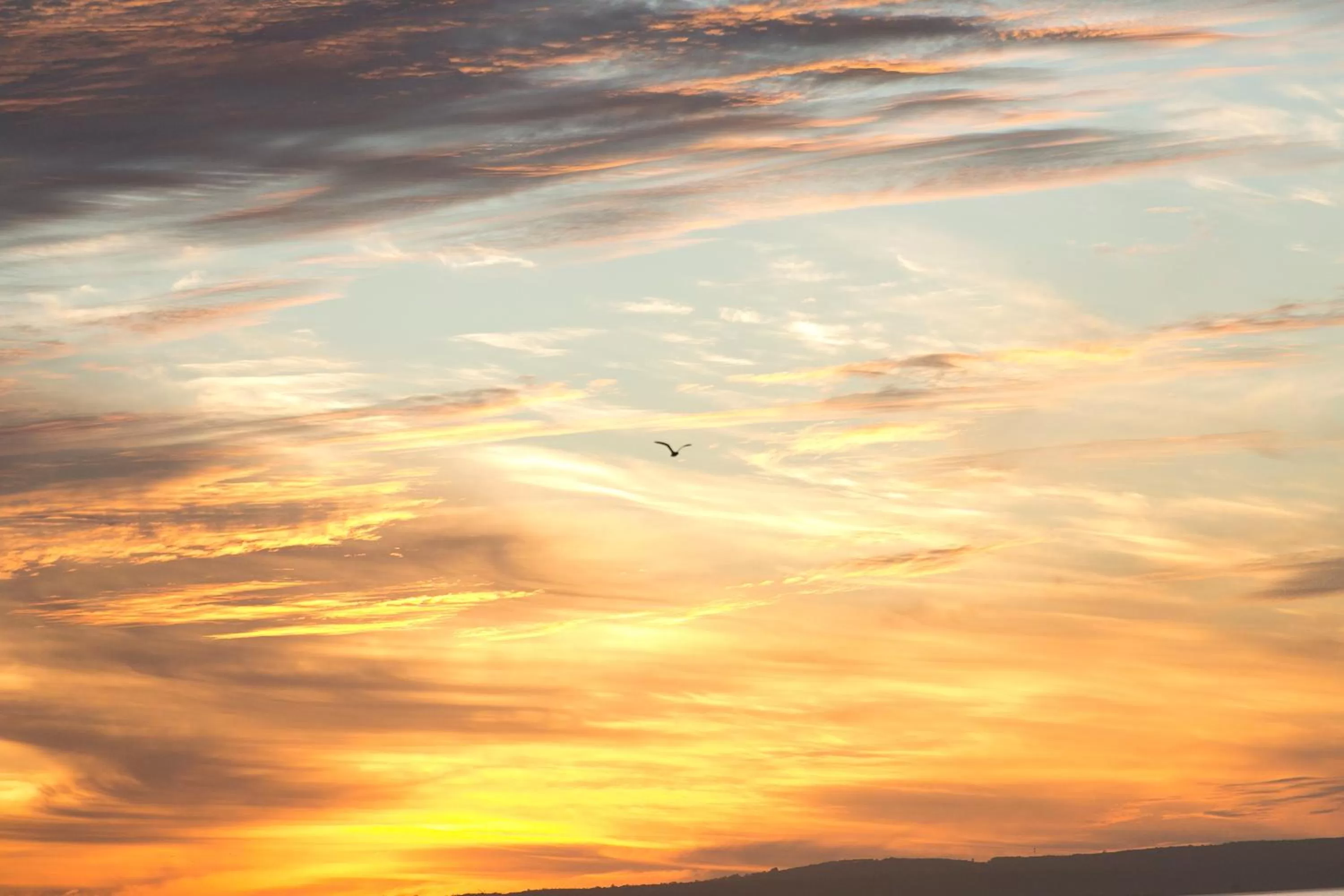 Standard Three-Bedroom Villa in Amalfi Resort Busselton's Best Kept Secret