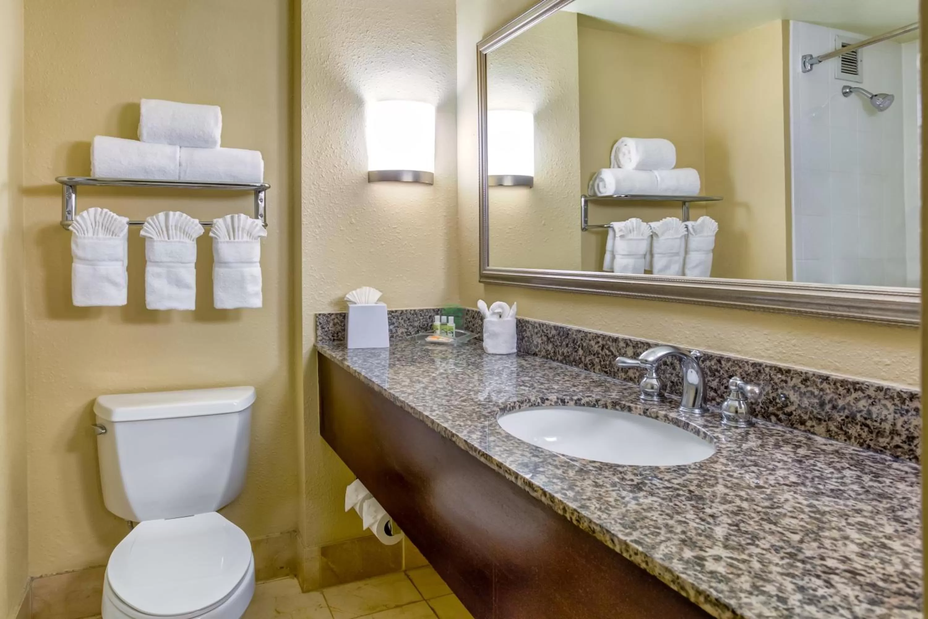 Standard King Room - single occupancy in Holiday Inn Indianapolis North-Carmel by IHG