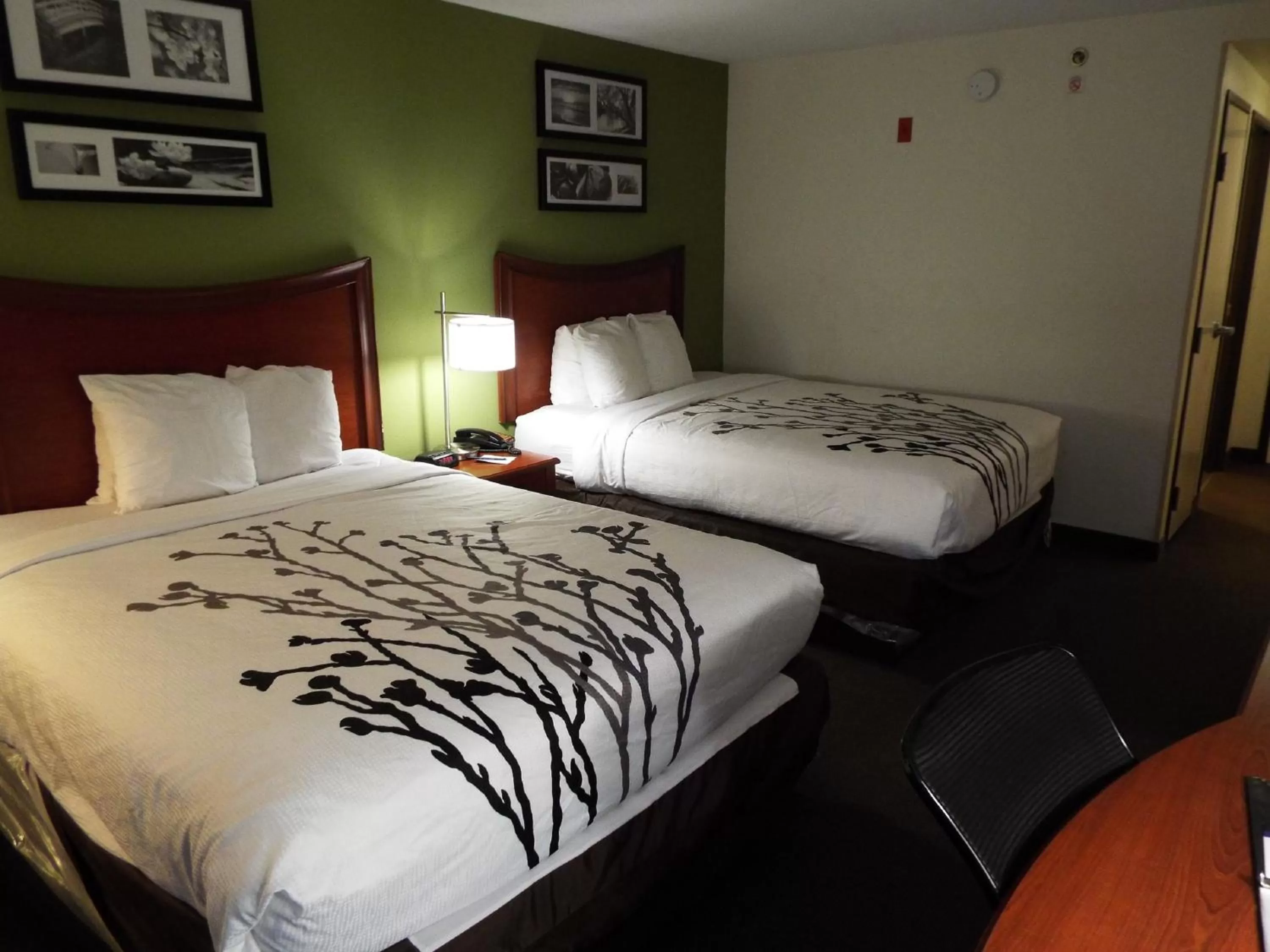 Double Room with Two Double Beds - Accessible/Non-Smoking in Sleep Inn & Suites Laurel near Fort Meade