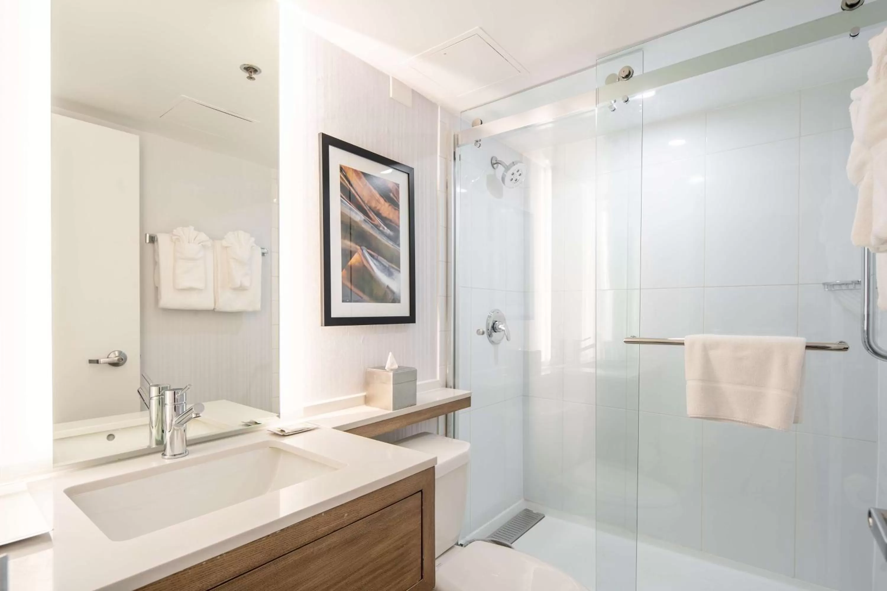 King Room - Disability Access in Radisson Hotel JFK Airport