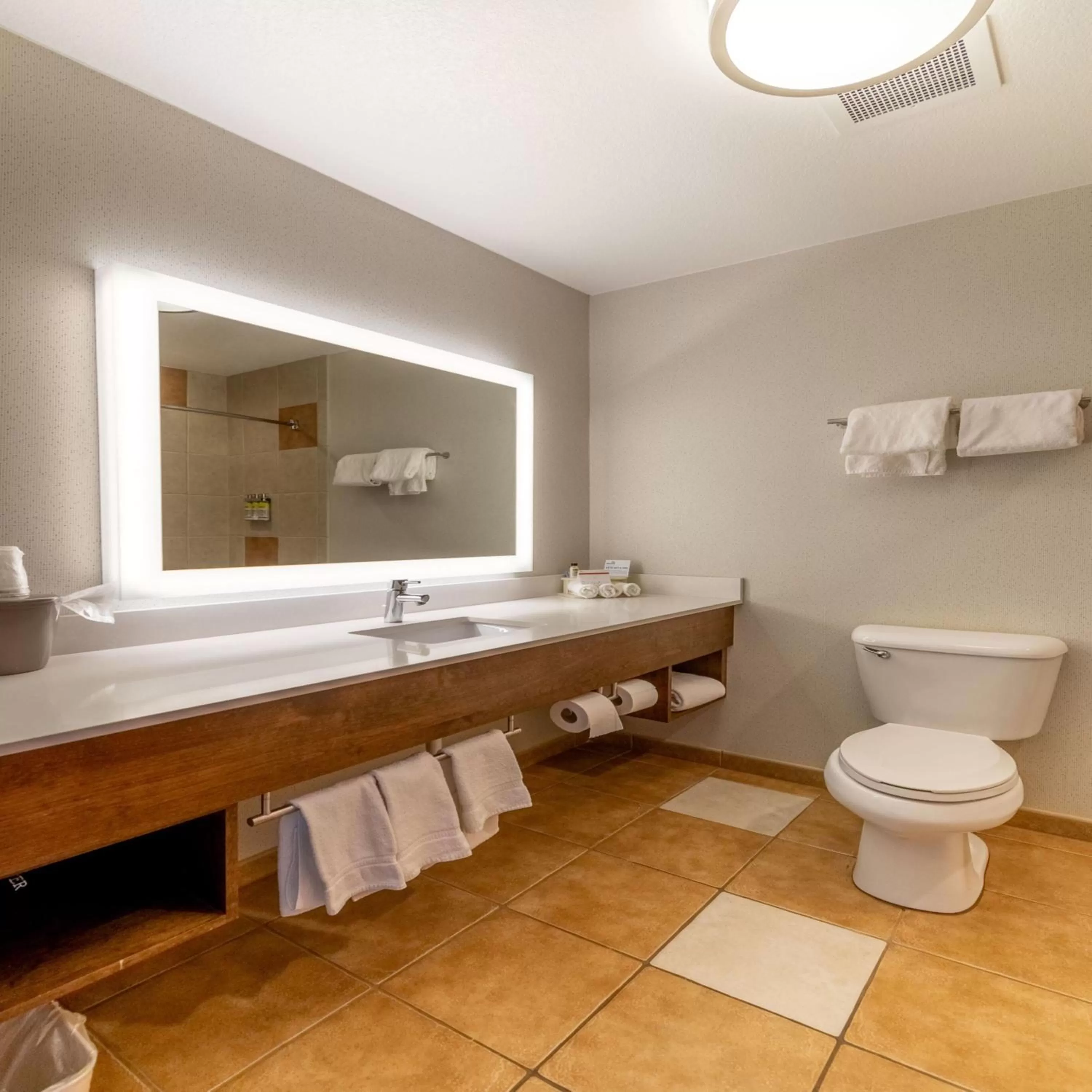 King Room - Disability Access in Holiday Inn Express Hotel & Suites Limon I-70/Exit 359 by IHG