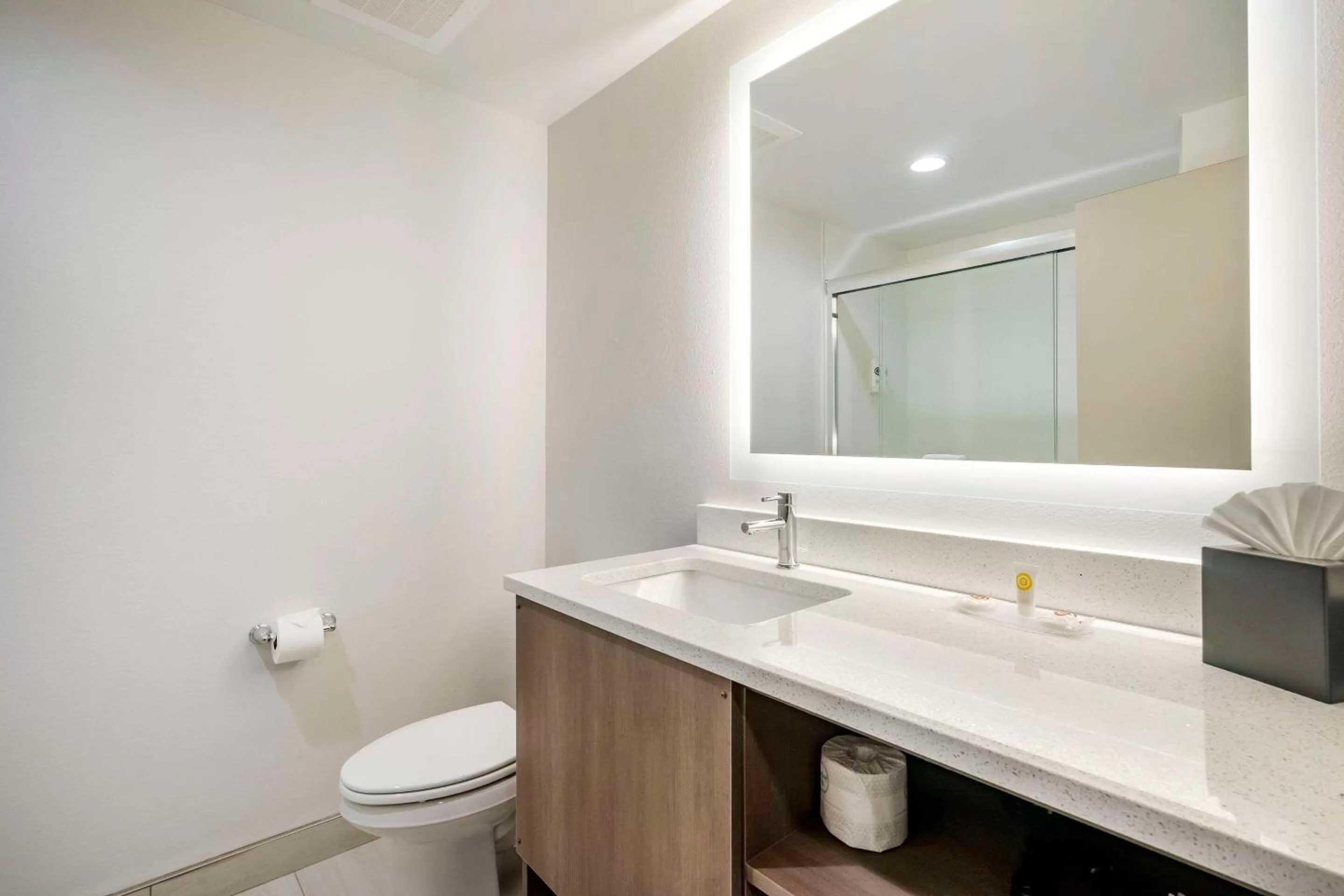 King Room - Non Smoking in Comfort Inn & Suites New Port Richey Downtown District