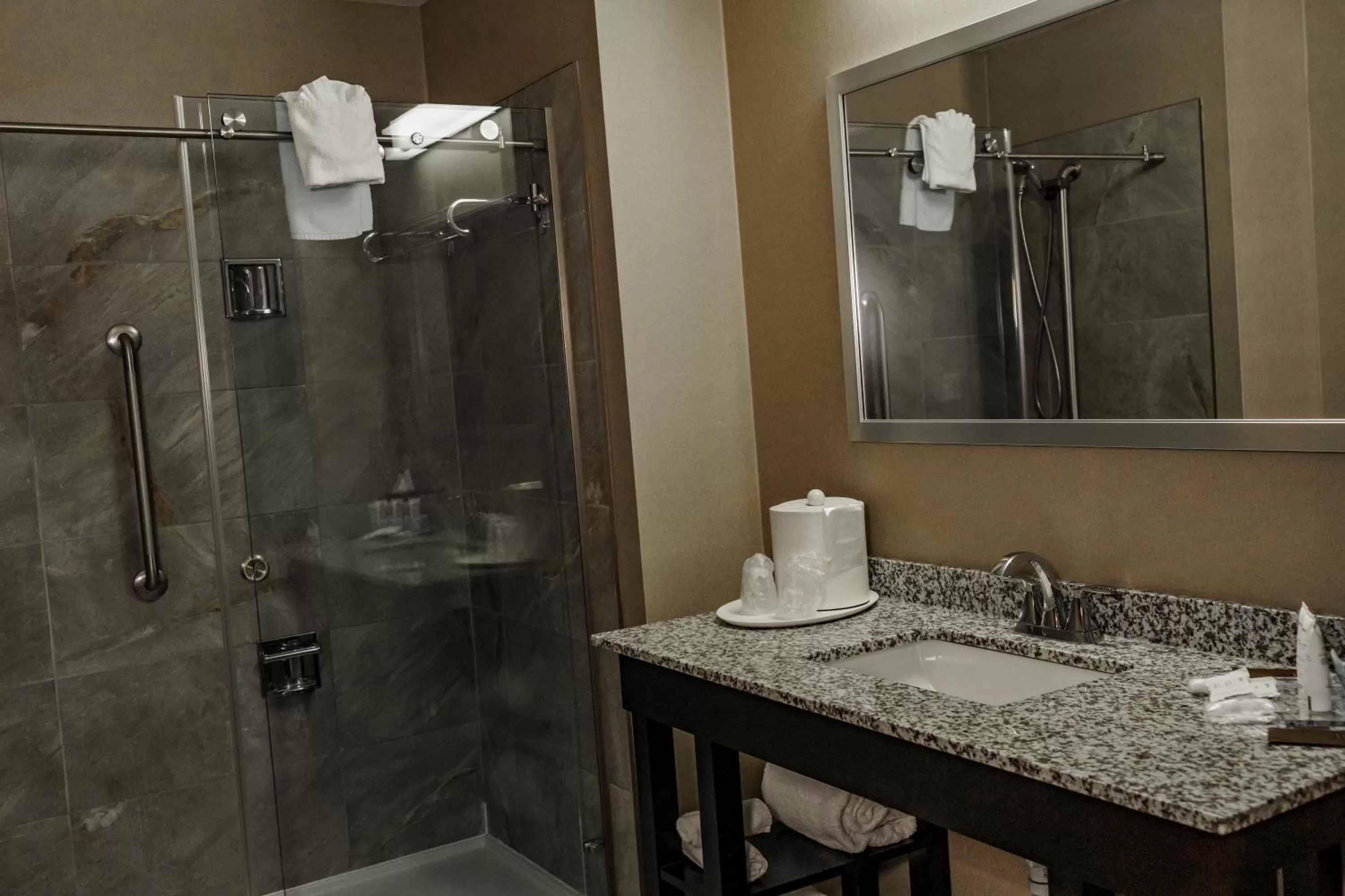 King Bed-studio Ste-dining Area-sofa-non Smk in Radisson Hotel Edmonton Airport