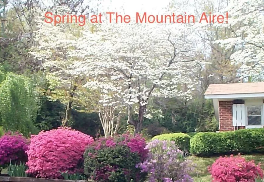 Mountain Aire Cottages, Inn, & Glamping