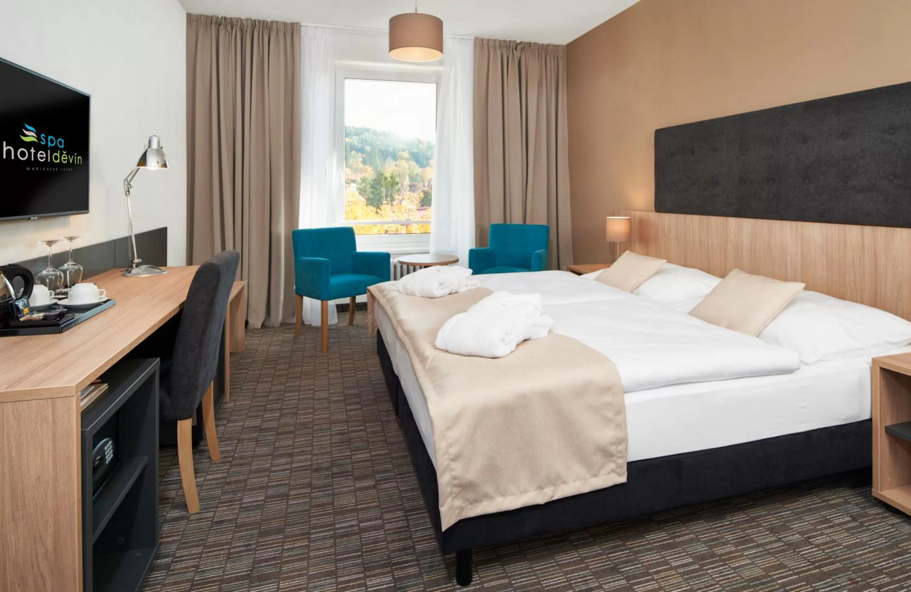 Deluxe Double Room in Spa Hotel Devin