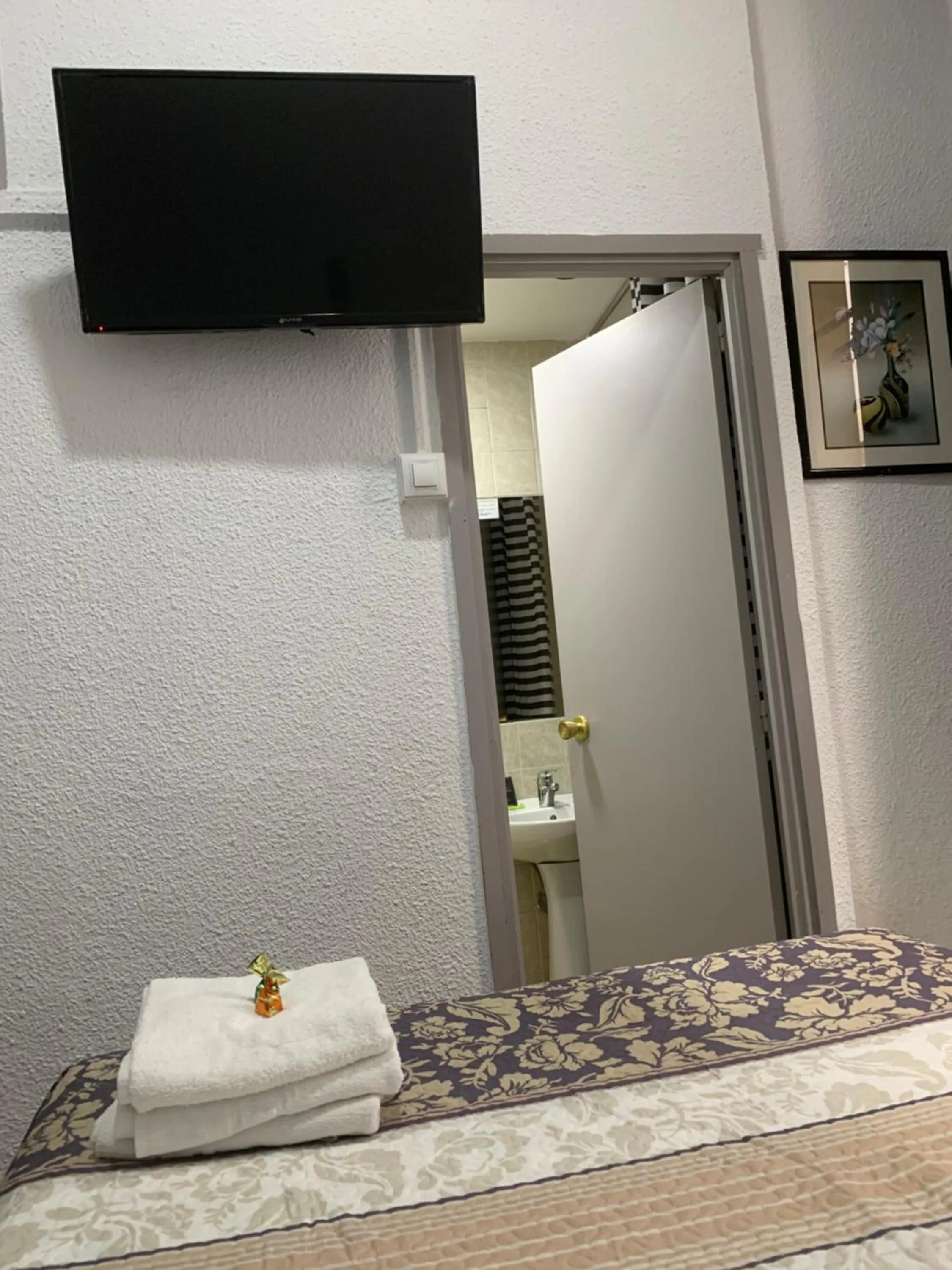 Single Room with Private Bathroom in Hostal Alcobia