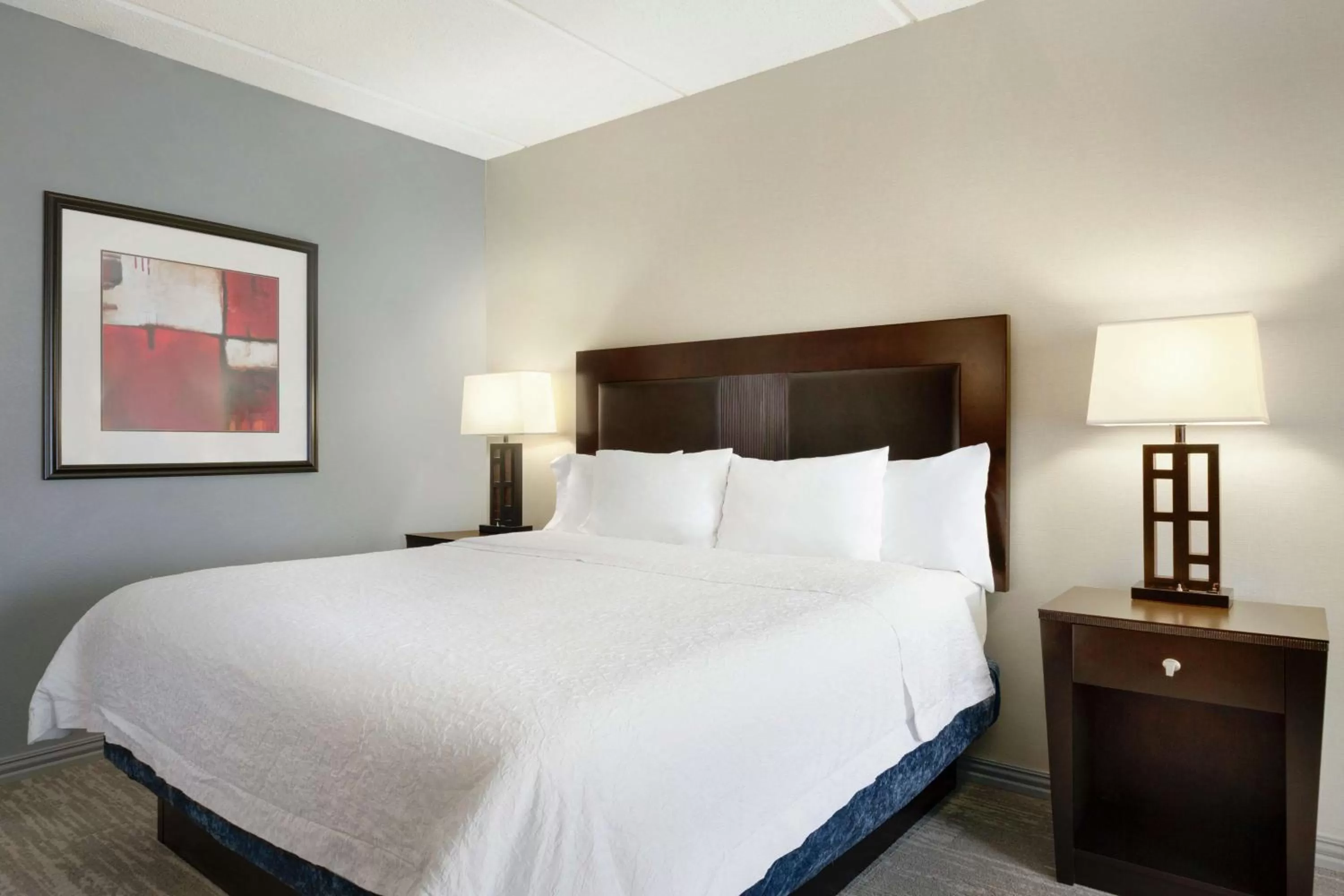 King Room with King Bed - Non-Smoking in Hampton Inn and Suites Houston Clear Lake NASA