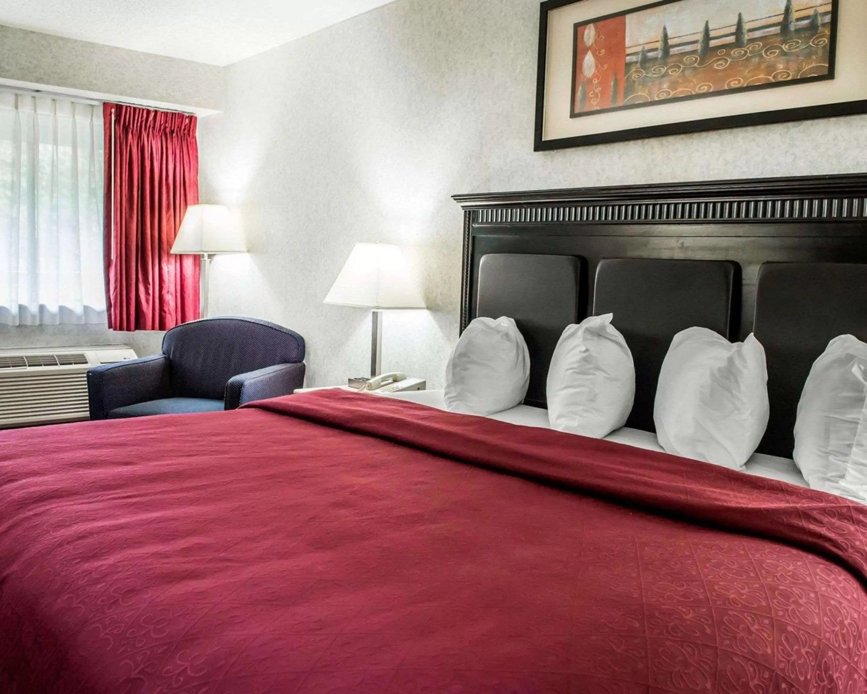 King Room with Accessible Tub - Accessible/Non-Smoking in Quality Inn & Suites Gibsonia - Pittsburgh North