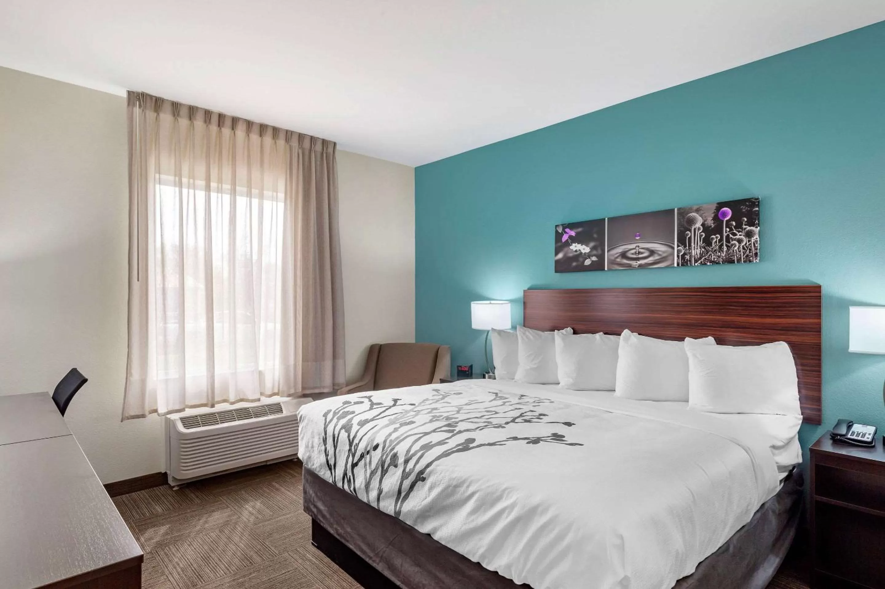 King Room - Hearing Accessible/Non-Smoking  in Sleep Inn Lancaster Dallas South