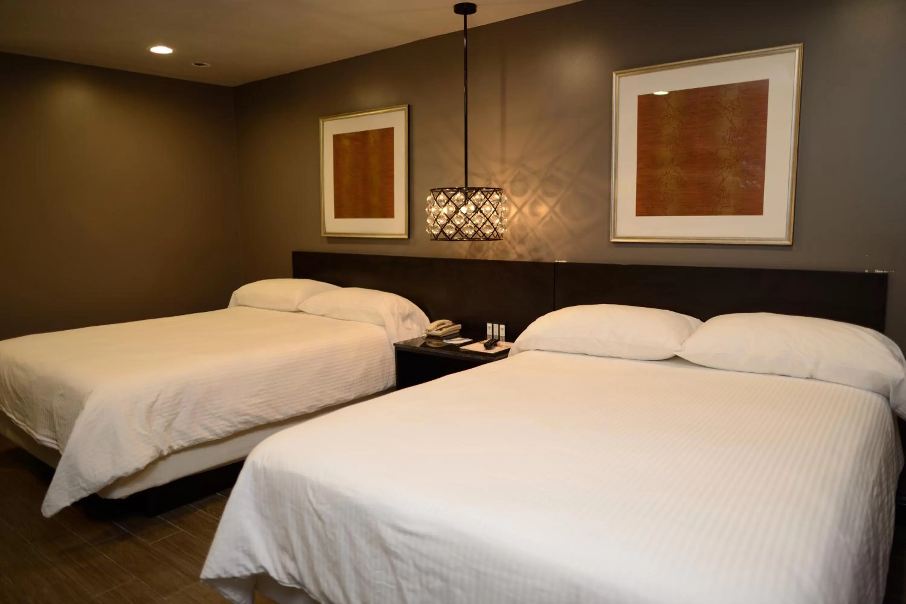 Deluxe Double Room in Hotel Le Reve Pasadena