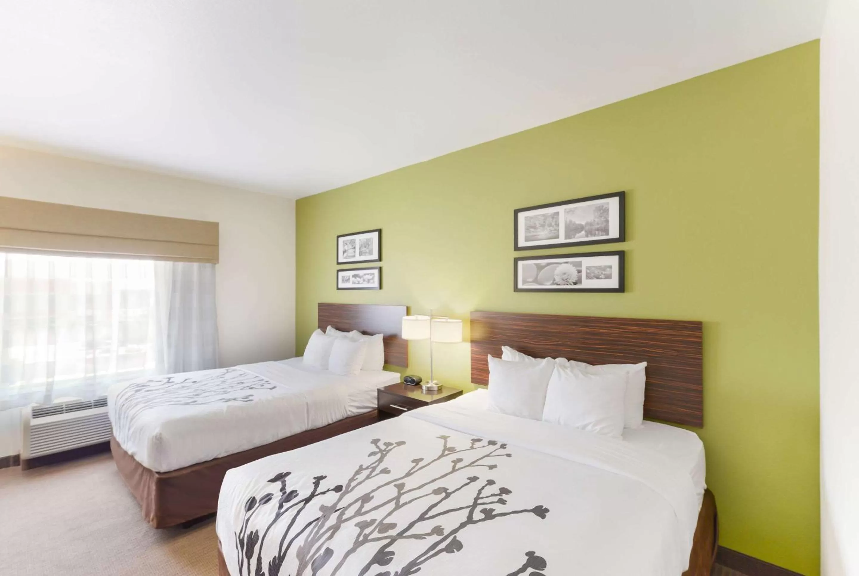 Queen Room with Two Queen Beds - Non-Smoking in Sleep Inn & Suites Midland West