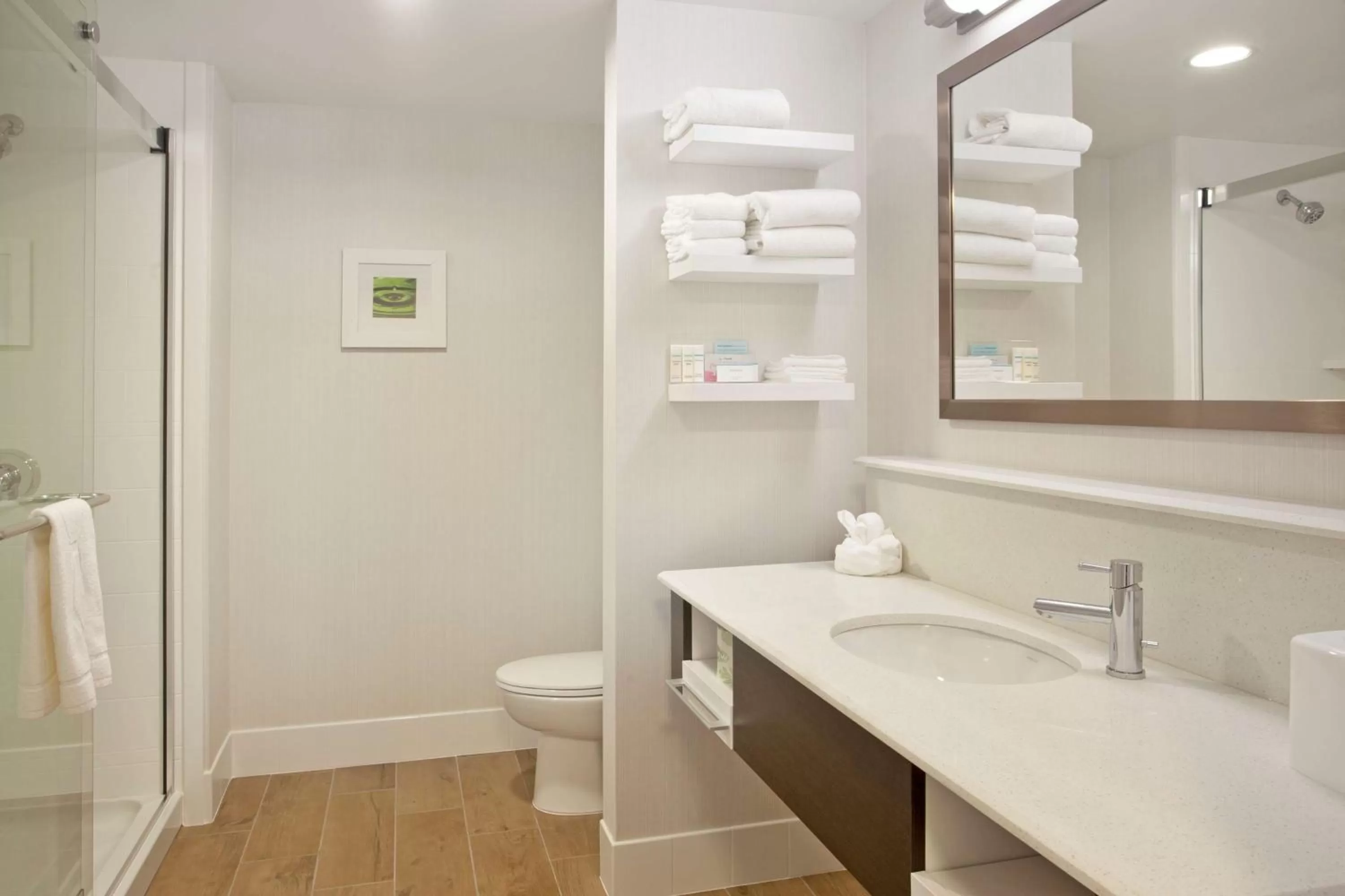 King Room with Sofa Bed - Non-Smoking in Hampton Inn & Suites - Minneapolis/Downtown