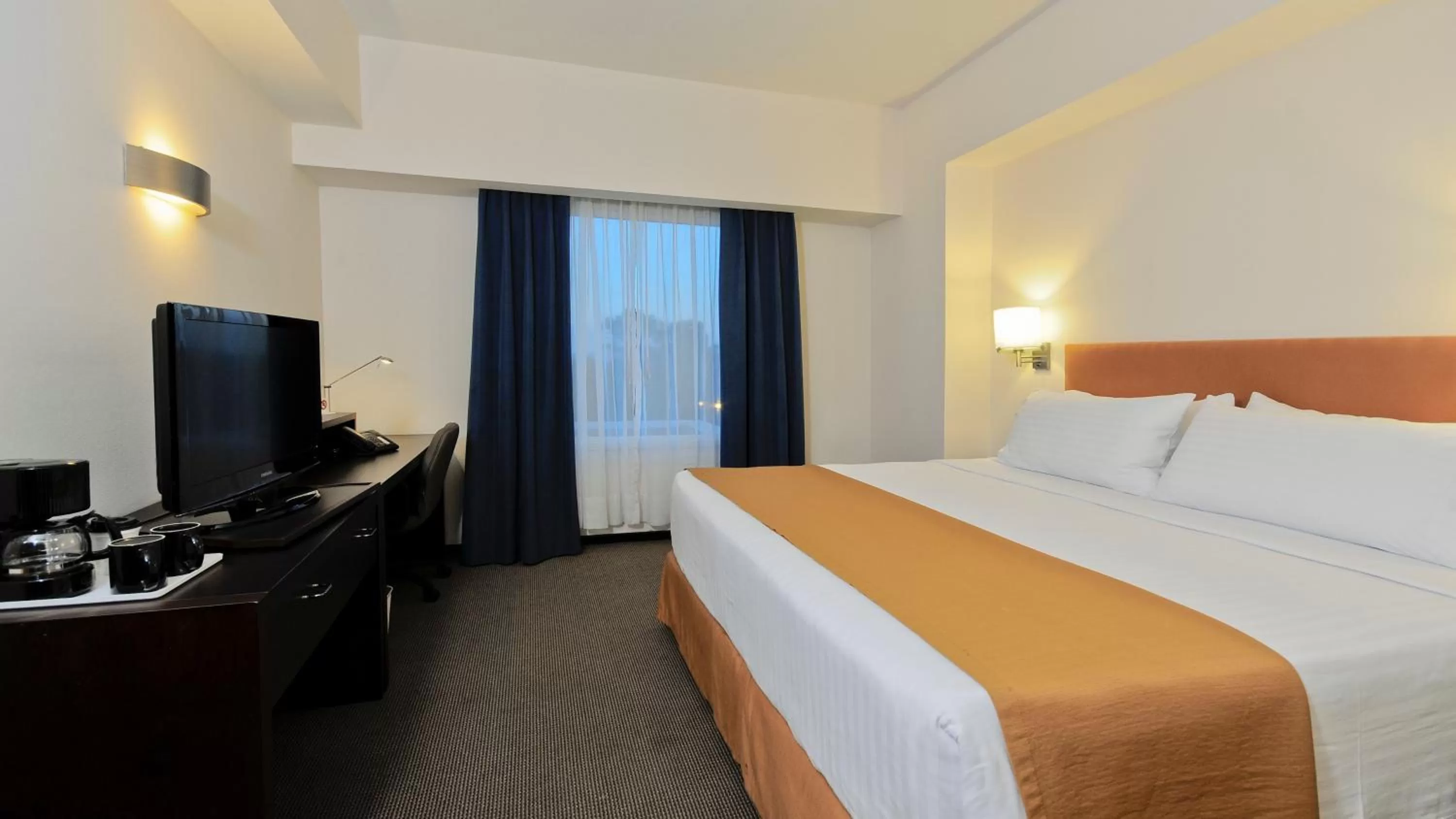 King Room with Wheelchair Accessible Roll In Shower - Non-Smoking in Holiday Inn Uruapan, an IHG Hotel