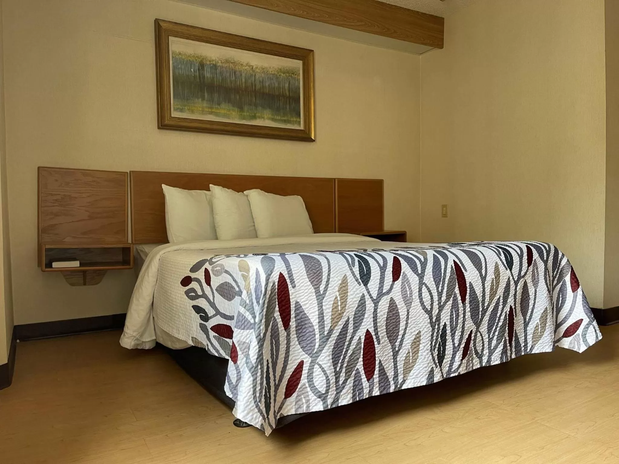 Deluxe Room with One Queen Bed Disability Access Non-Smoking in Red Roof Inn Branson
