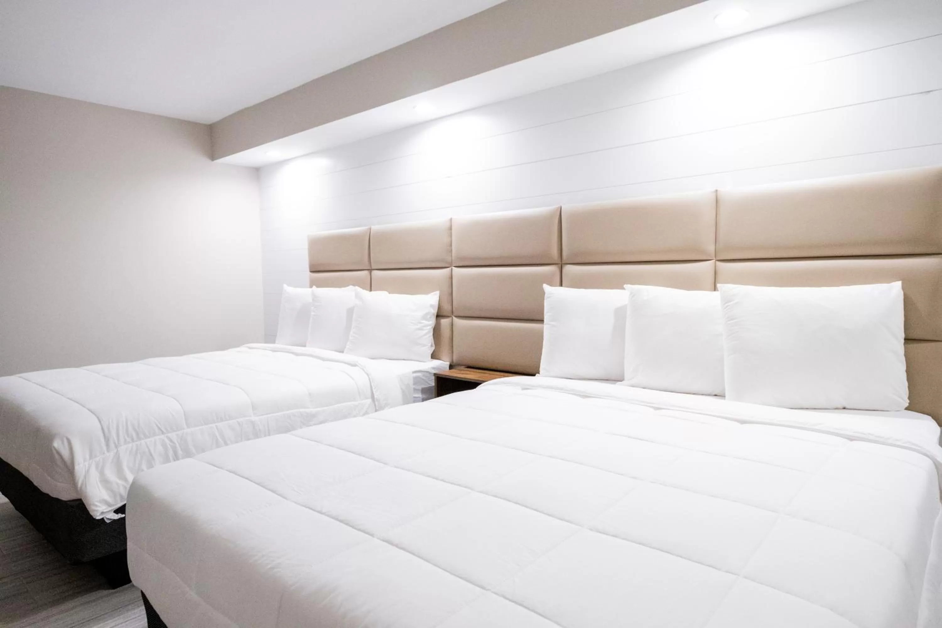 Two-Bedroom Suite in 300 Tenth