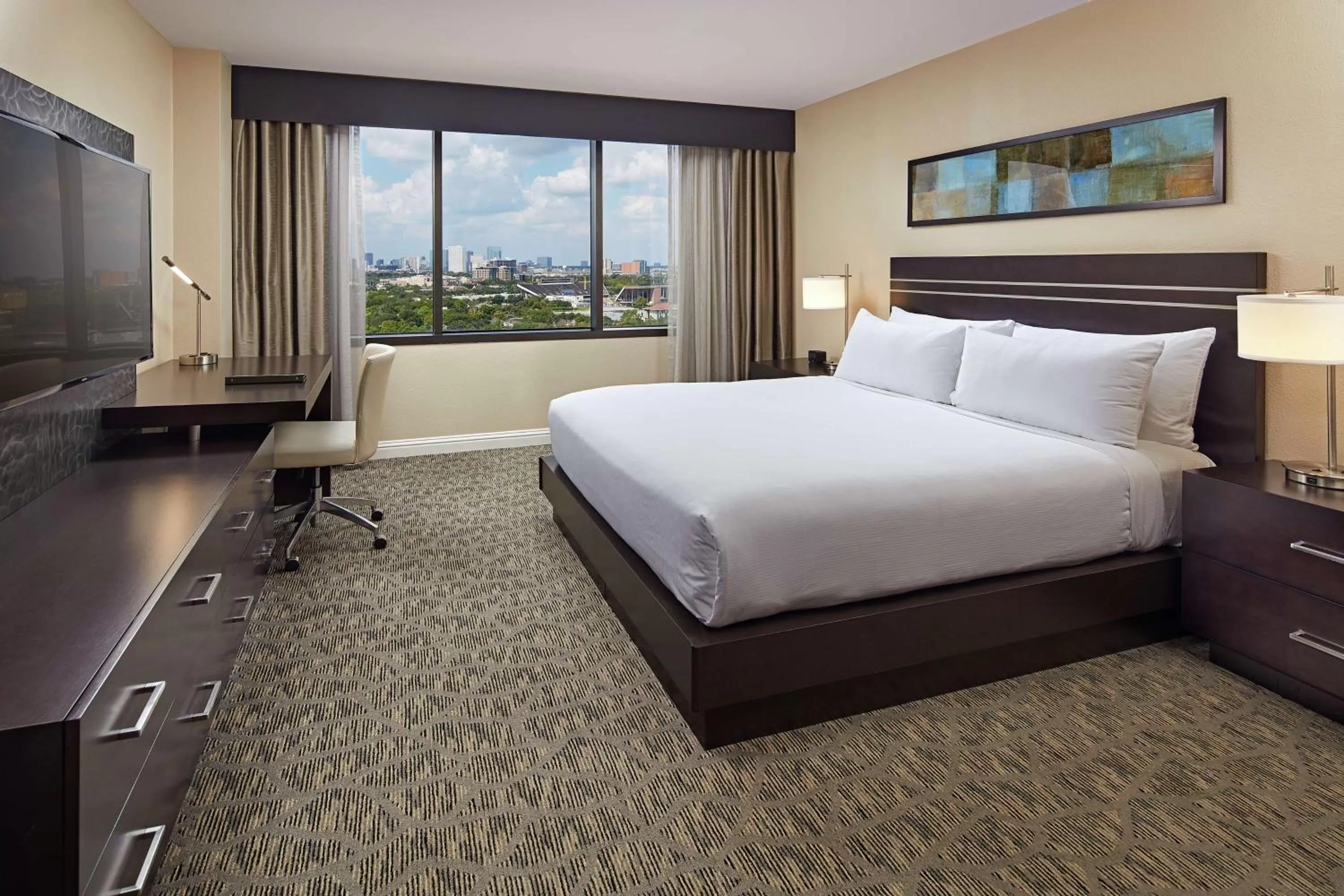 King Room with View in Hilton Houston Plaza/Medical Center