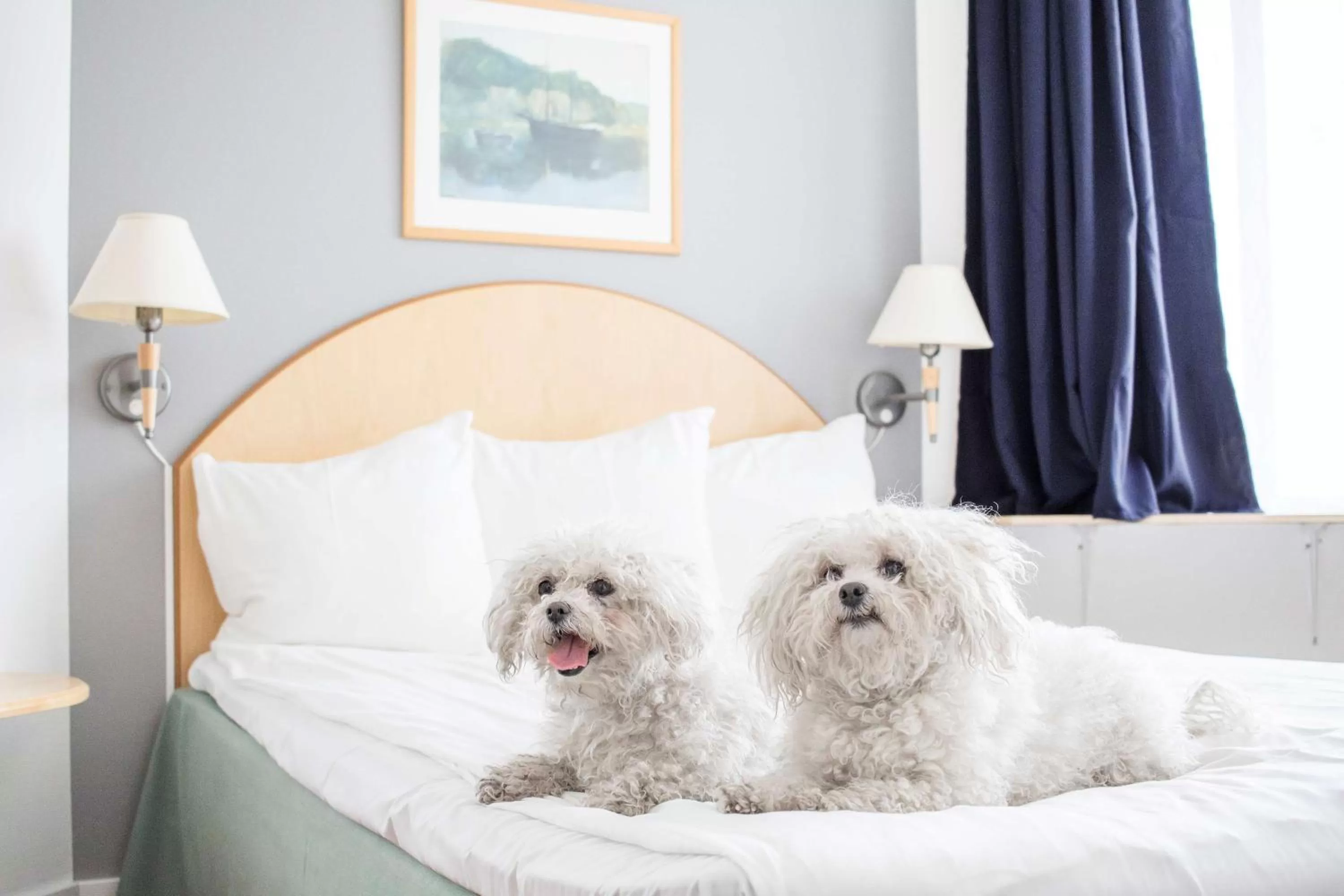 Standard Quadruple Room with Double Bed - Pet-Friendly/Non-Smoking in Best Western Eurostop Orebro