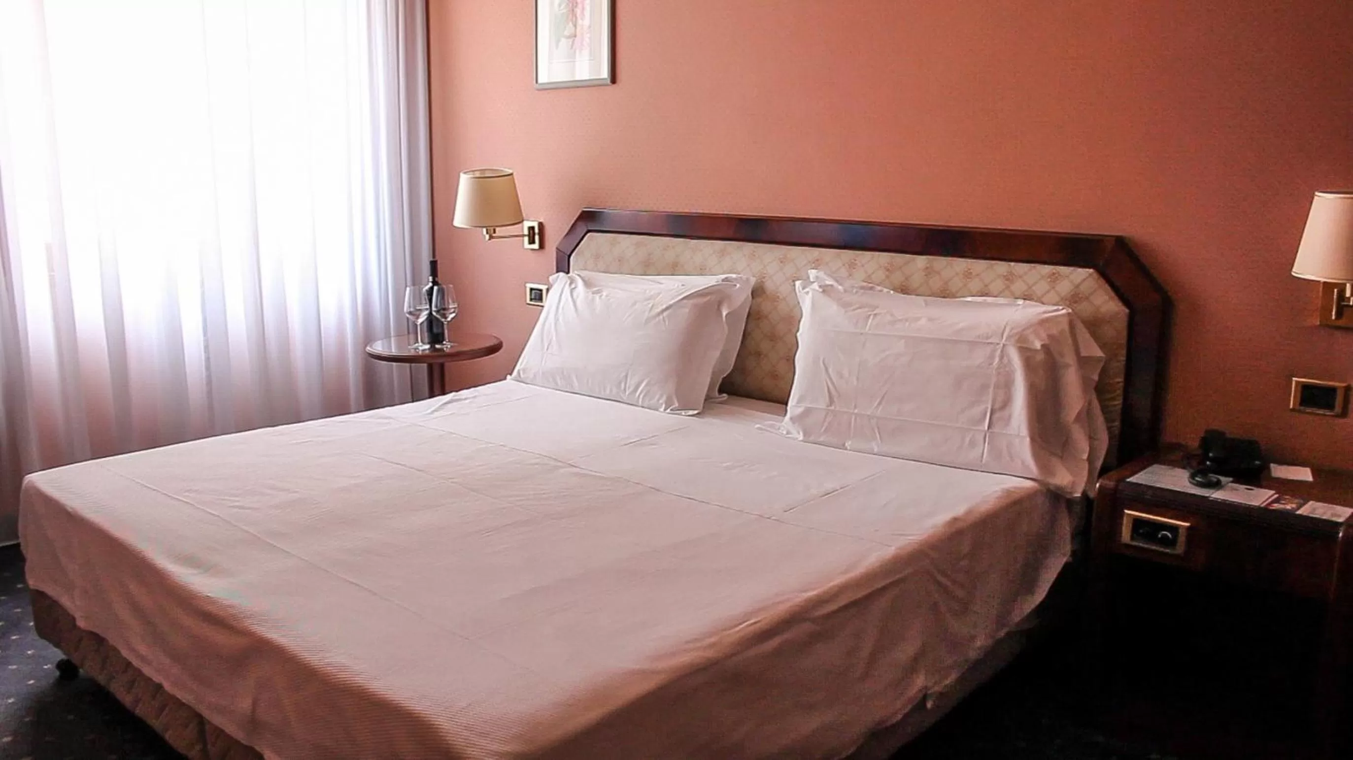 Double Room in Hotel Bristol