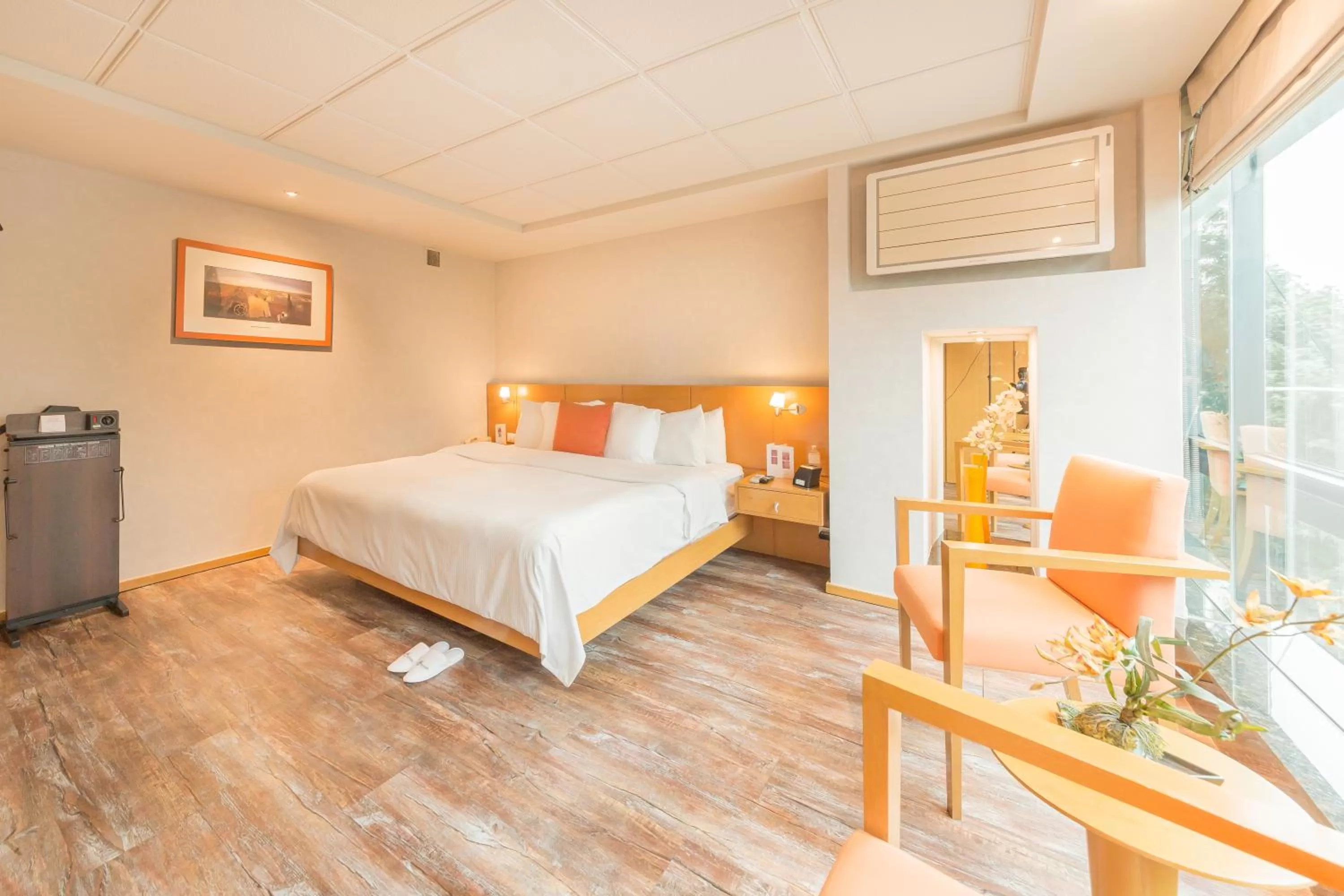 Executive Suite in Suites Contempo