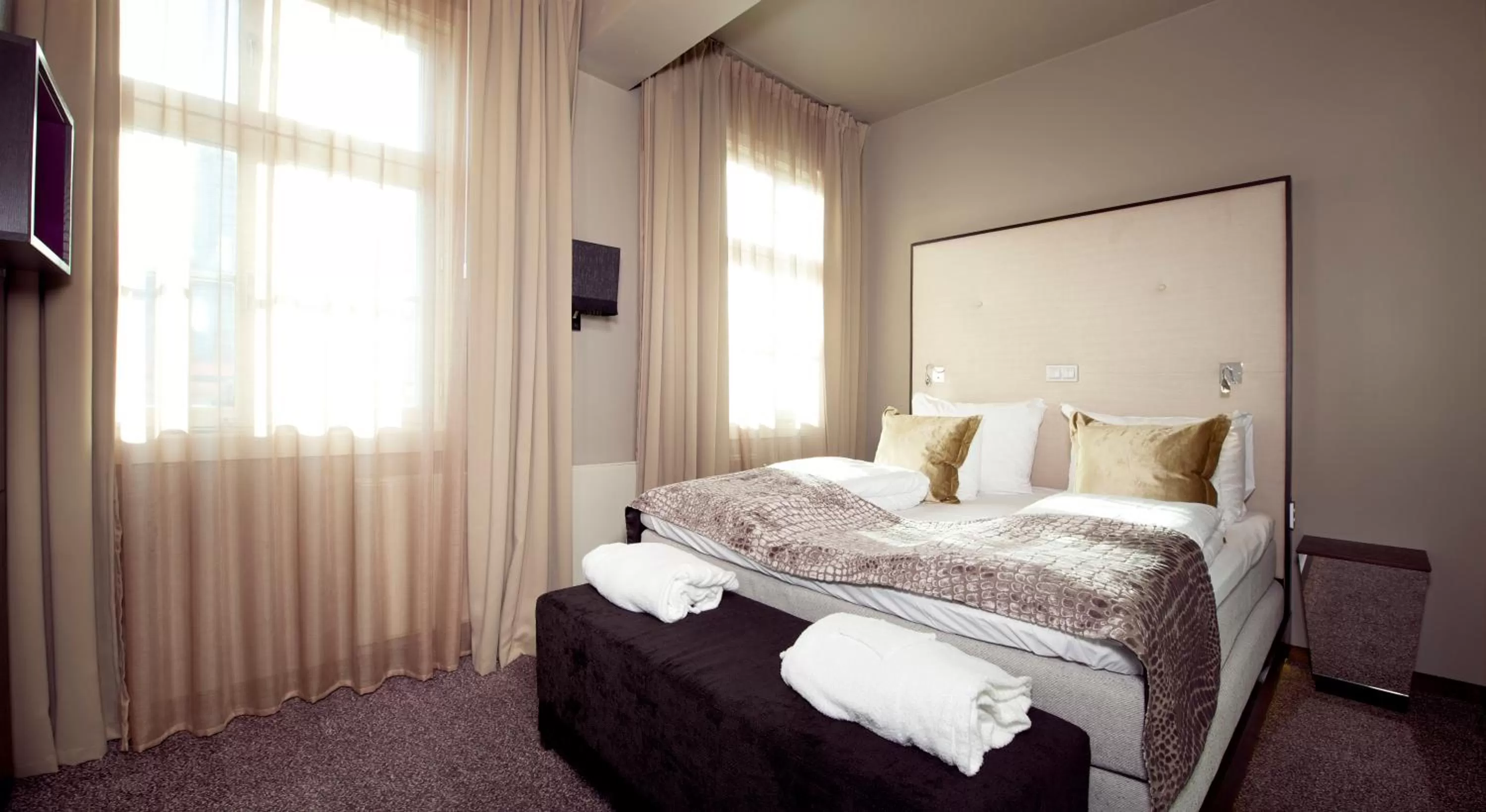 Deluxe Double Room in Home Hotel Folketeateret