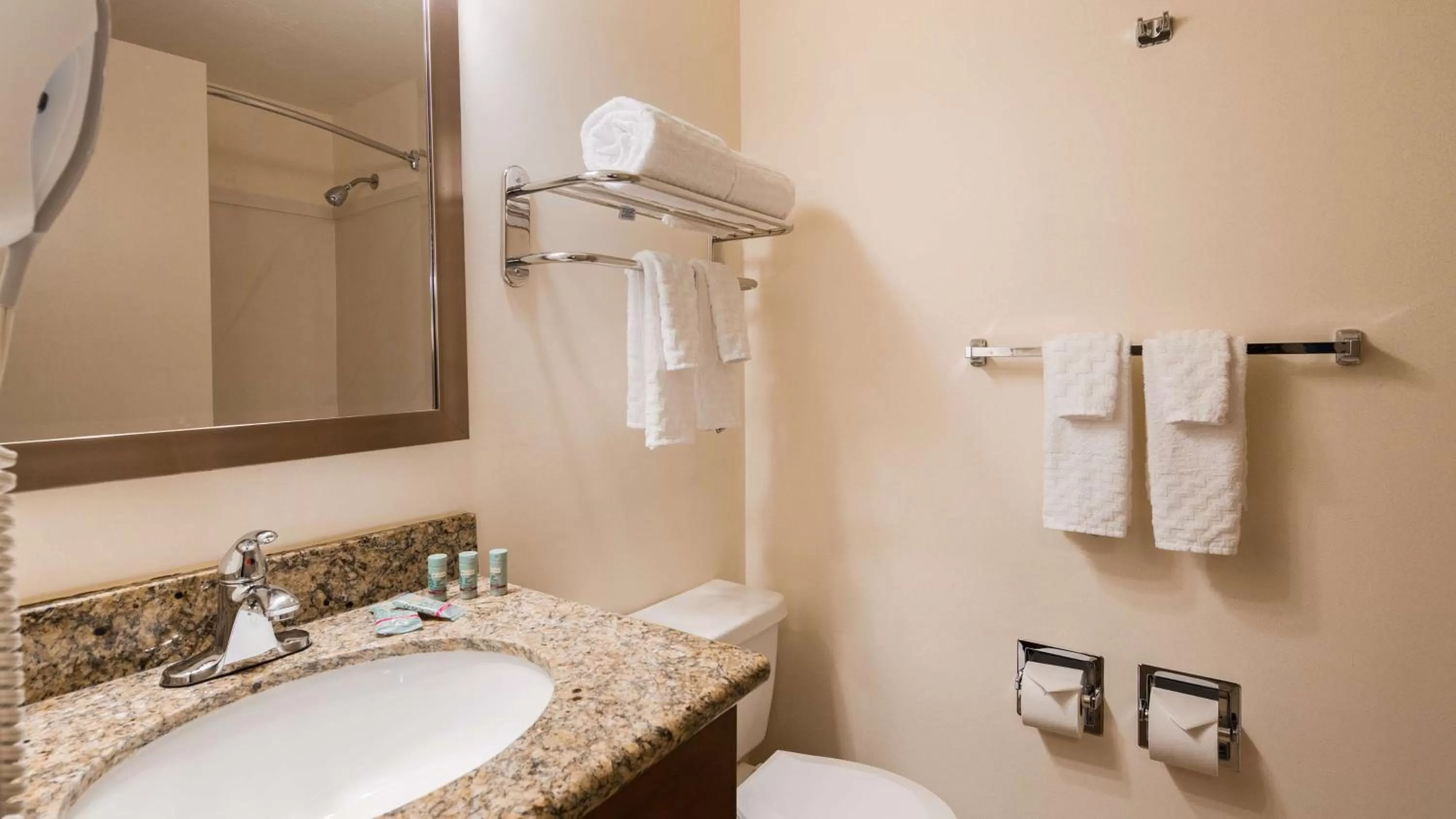 Queen Room with Roll-in Shower - Non-Smoking/Disability Access in Best Western Cascadia Inn