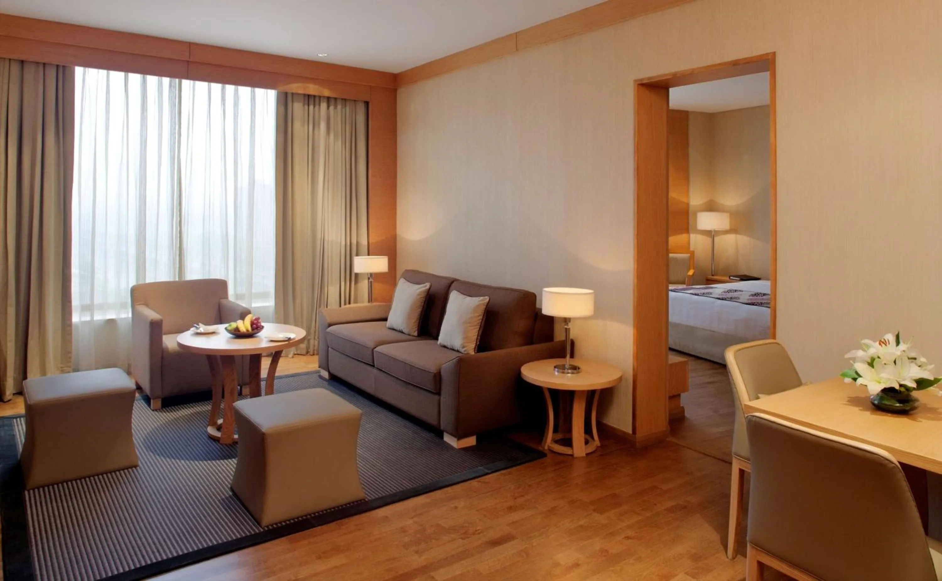 Executive Suite with Sofa Cum Bed and 20% discount on Food & Soft Beverage in Radisson Blu Hotel New Delhi Dwarka