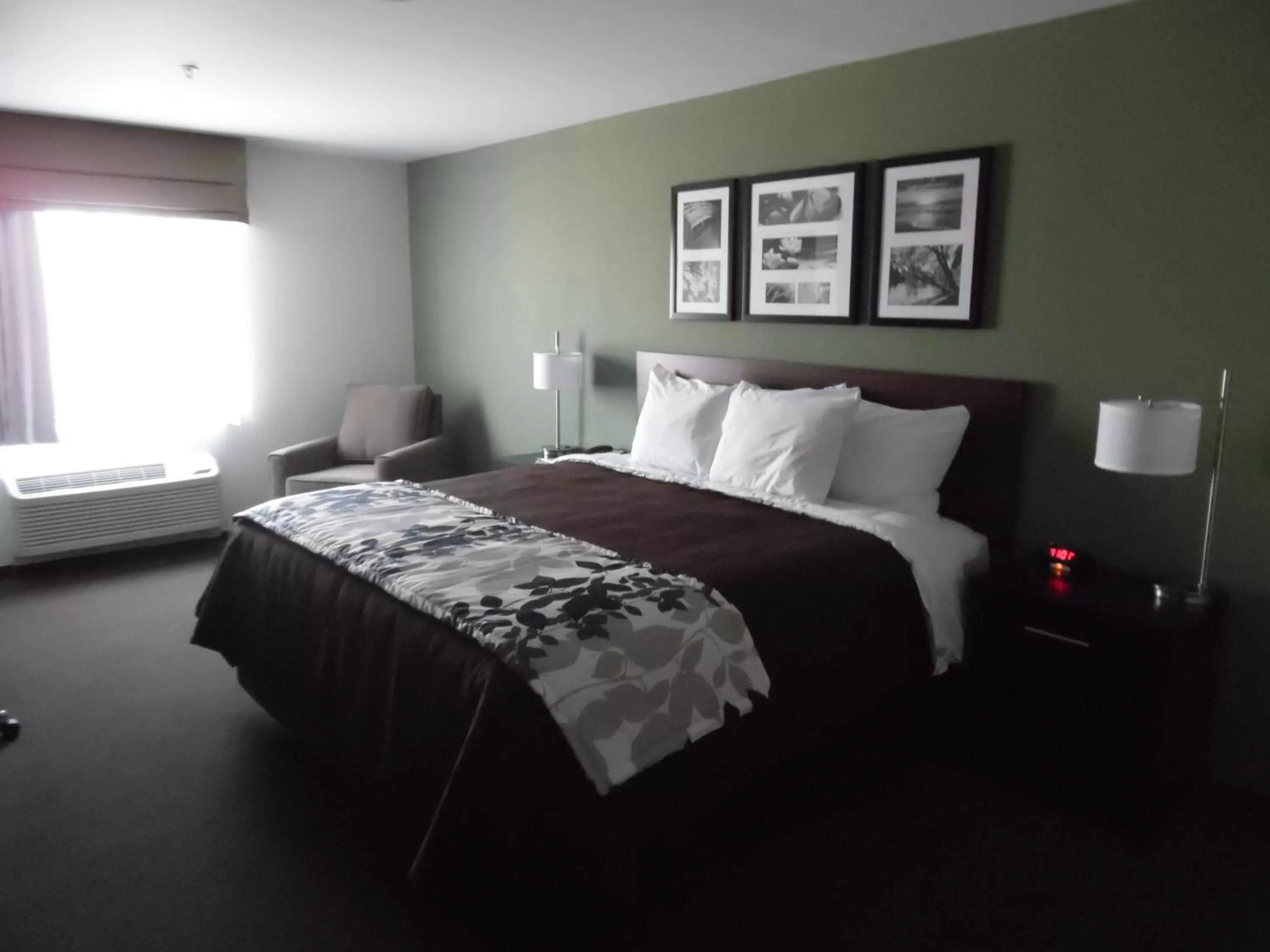 King Room - Non-Smoking in Sleep Inn & Suites Syracuse Airport