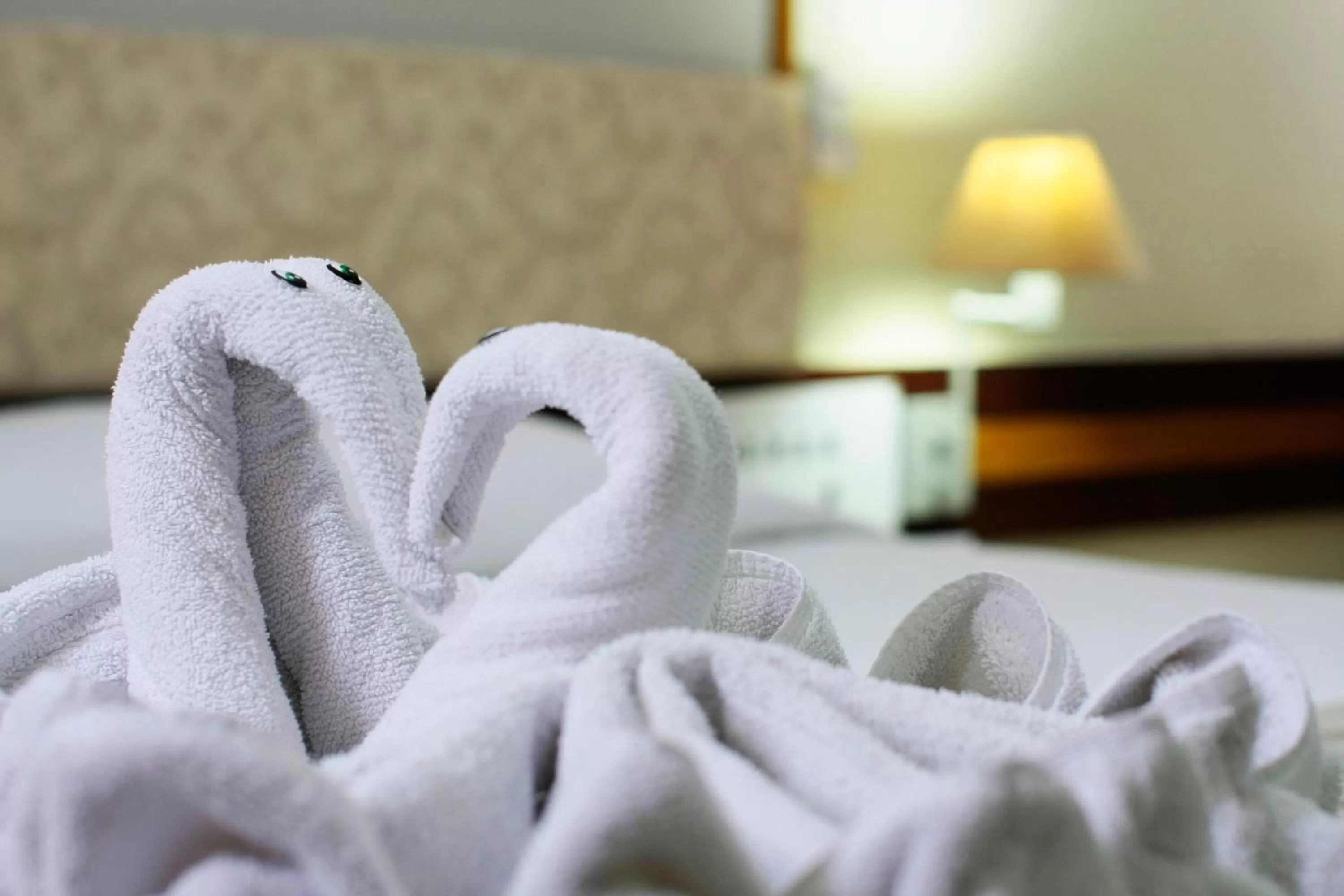 Standard Double Room in Hotel Colonial Iguaçu