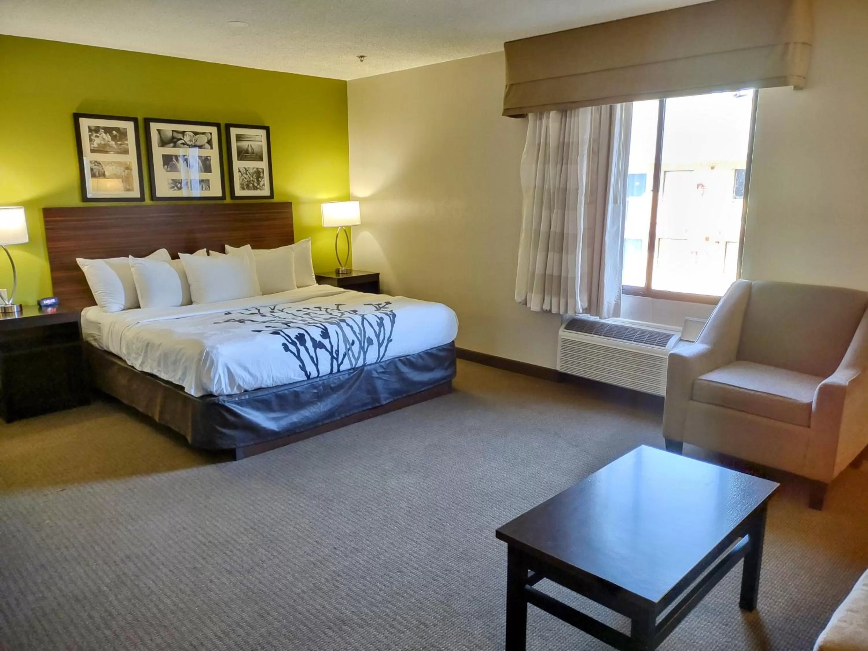 King Suite with Sofa Bed - Non Smoking in Sleep Inn Fredericksburg North